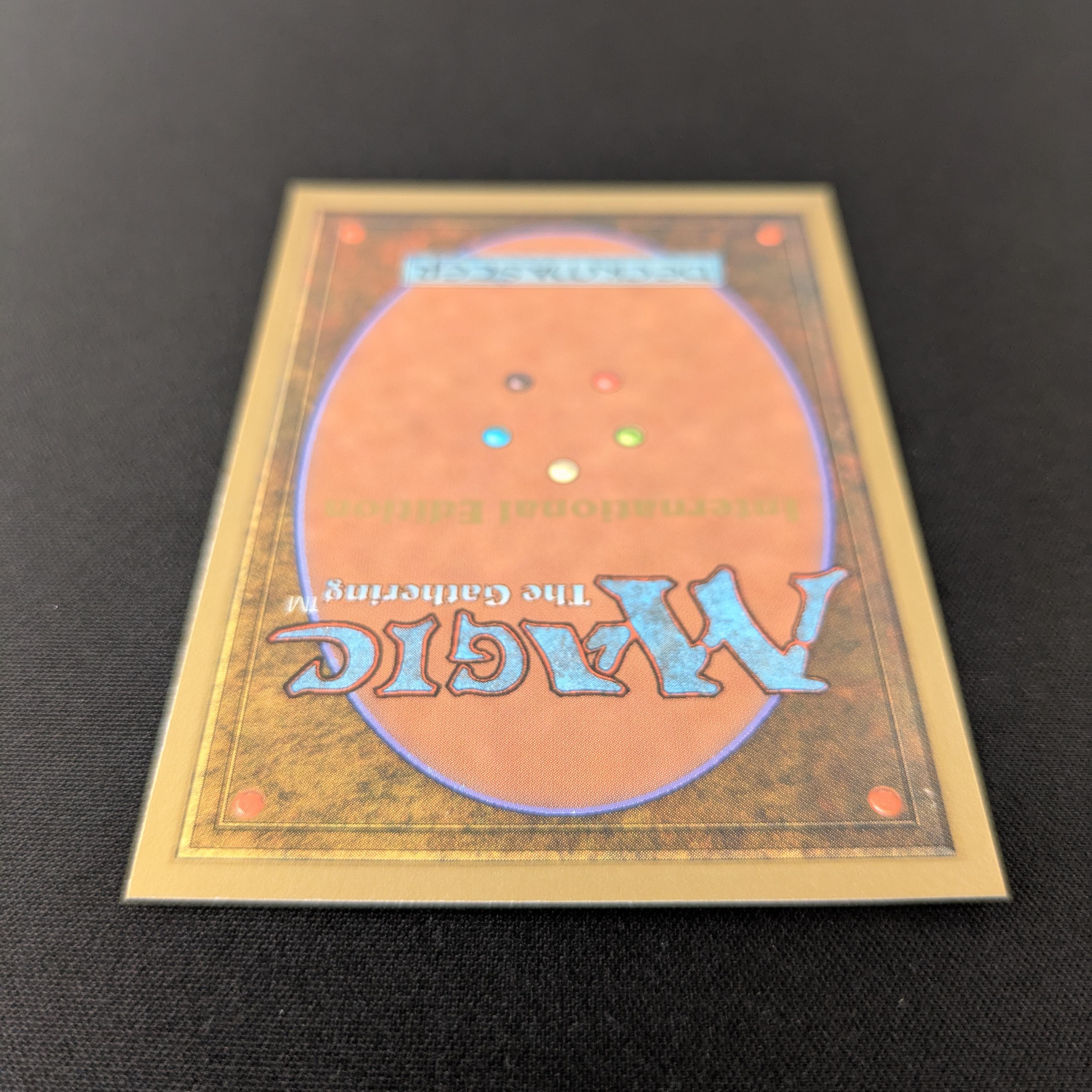 MTG Singles - Taiga - International Edition - 