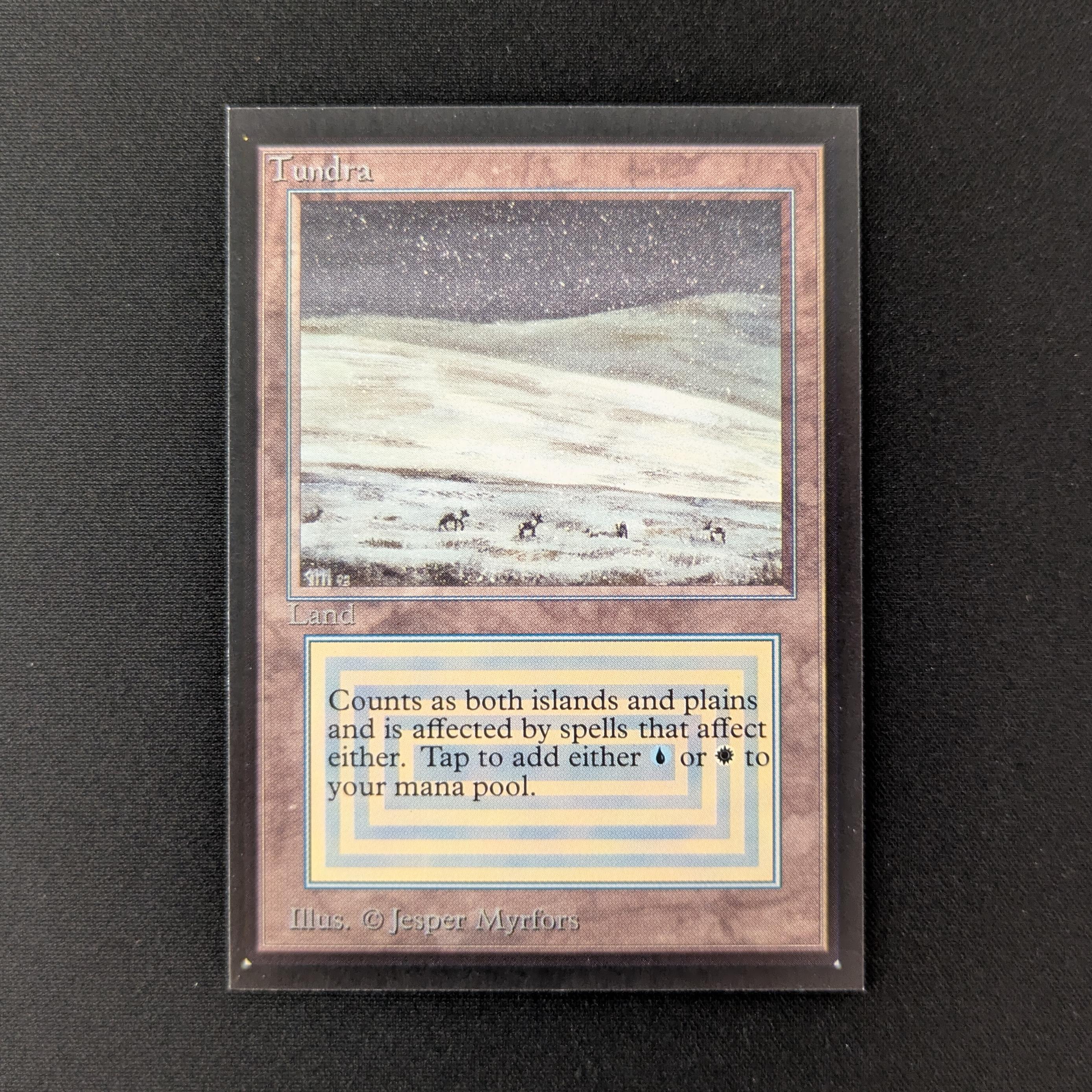 MTG Singles - Tundra - International Edition - NM - 27421