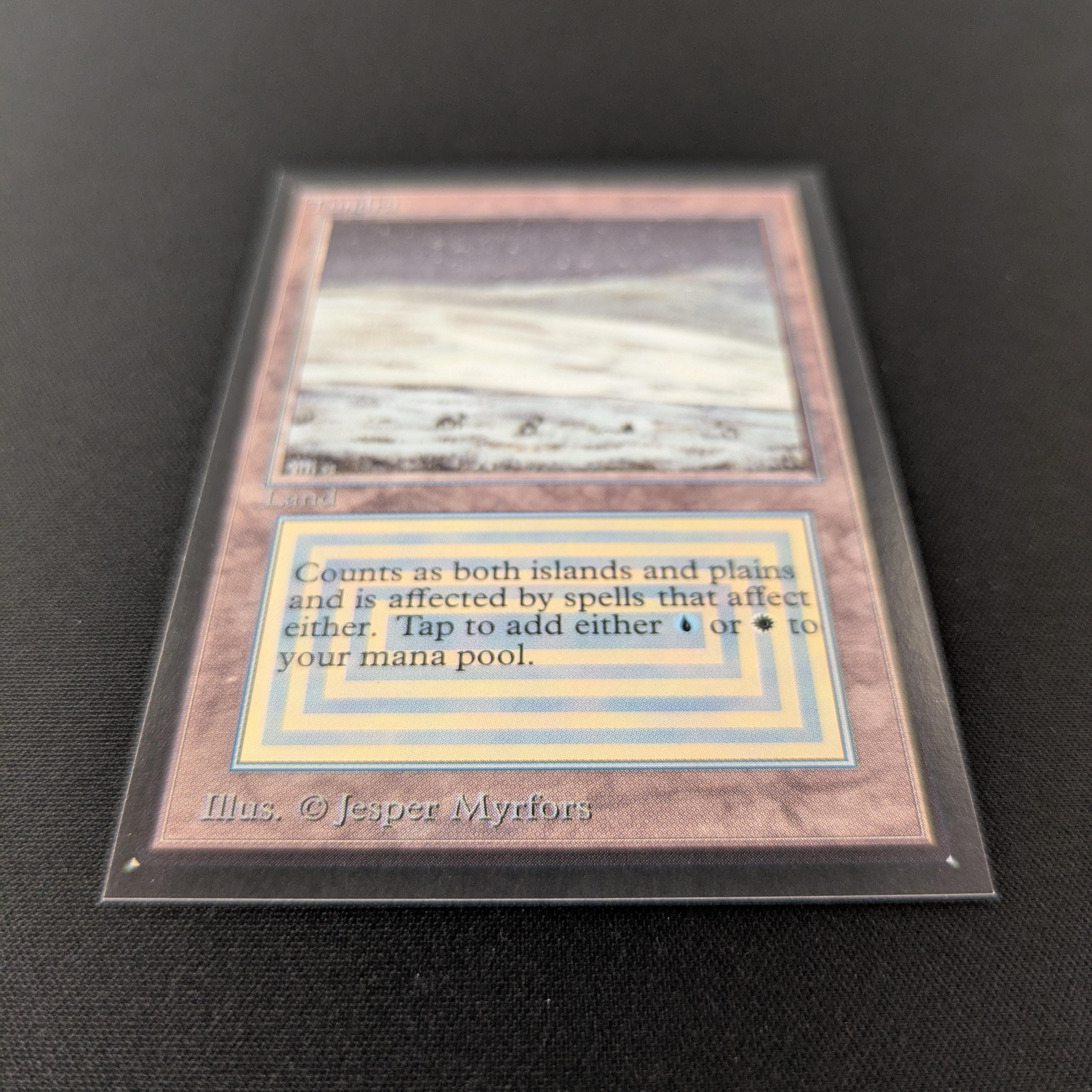 MTG Singles - Tundra - International Edition - 