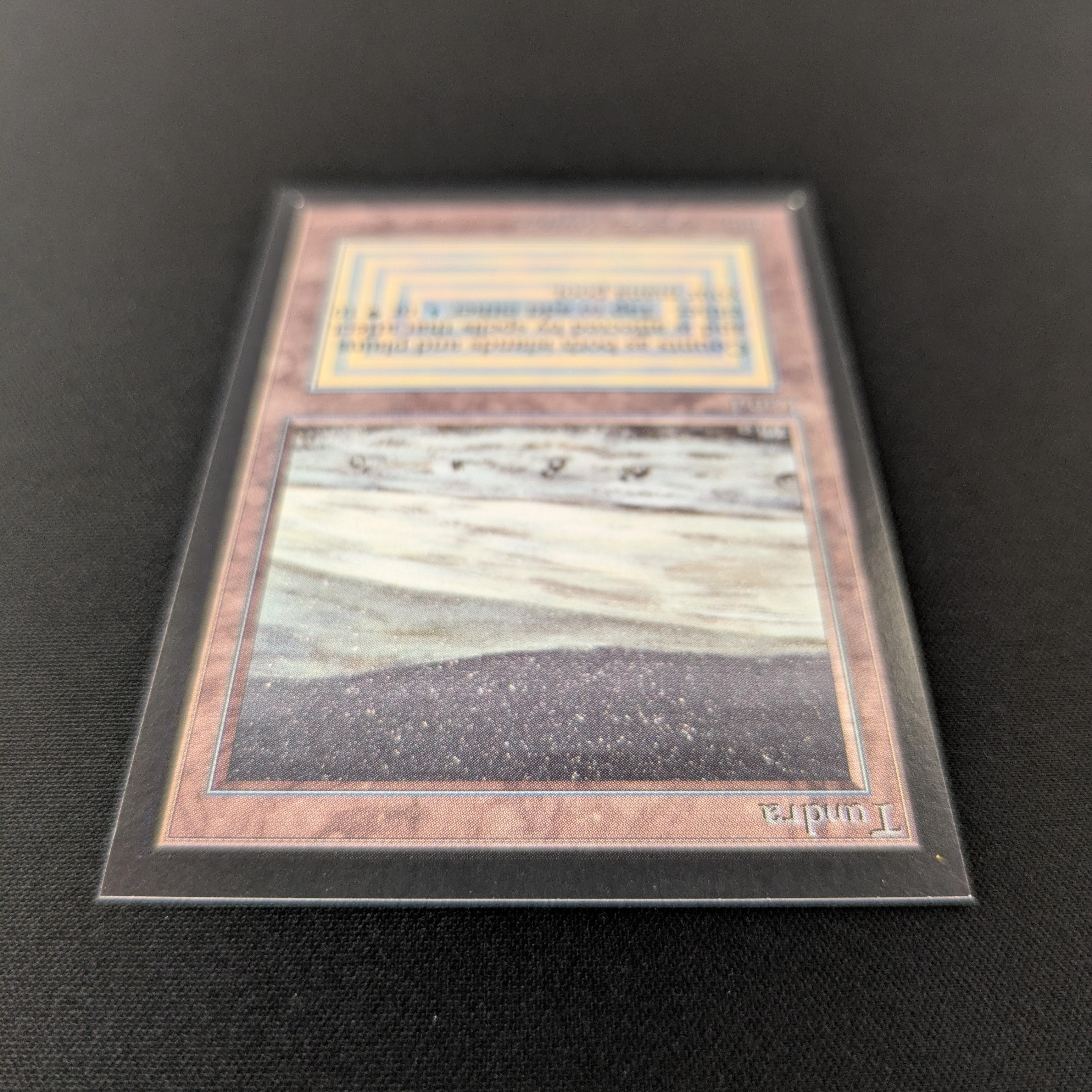 MTG Singles - Tundra - International Edition - 
