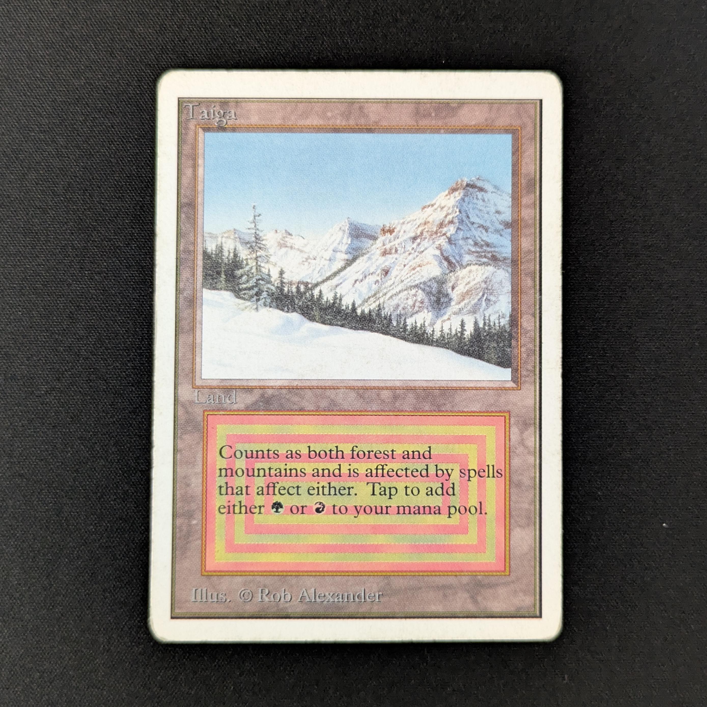 MTG Singles - Taiga - Unlimited - PL - 27451