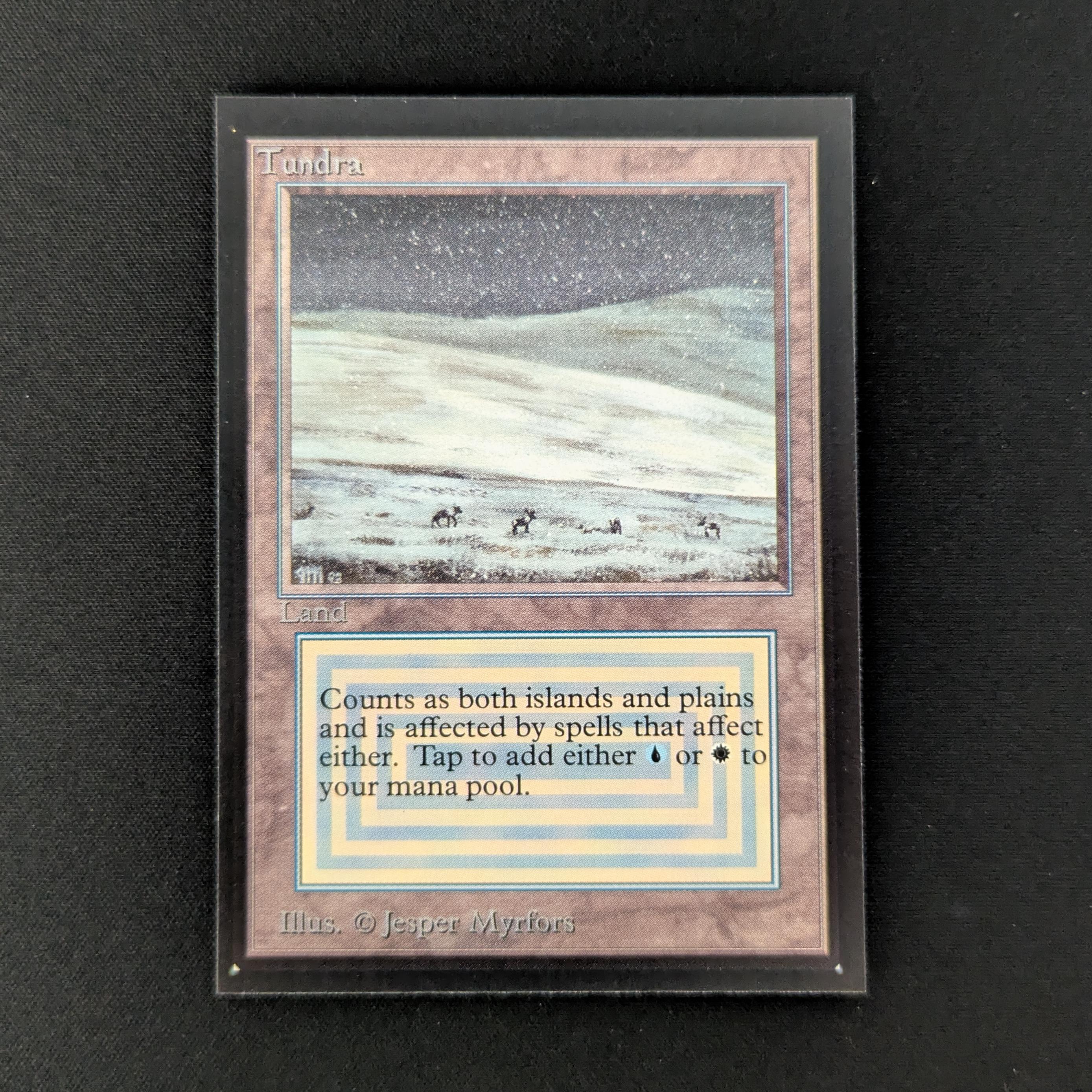 MTG Singles - Tundra - Collectors' Edition - NM - 27486
