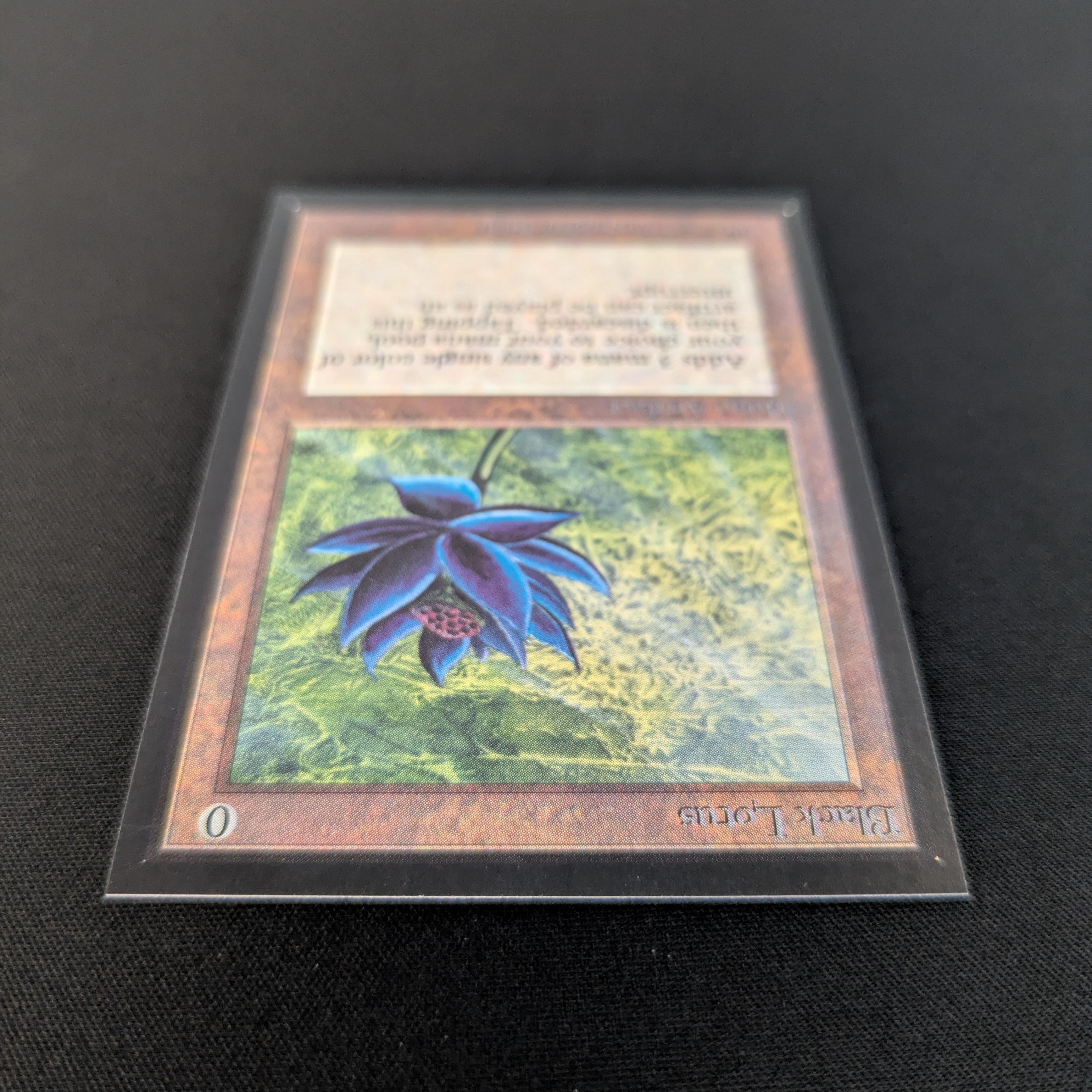 Black Lotus - International Edition