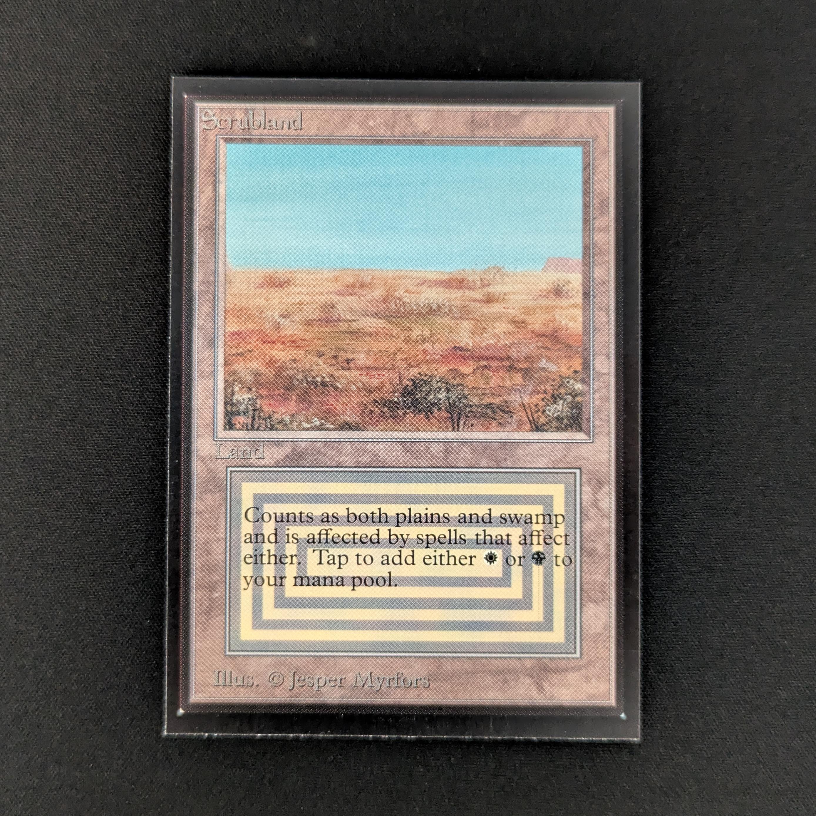MTG Singles - Scrubland - International Edition - NM - 27510