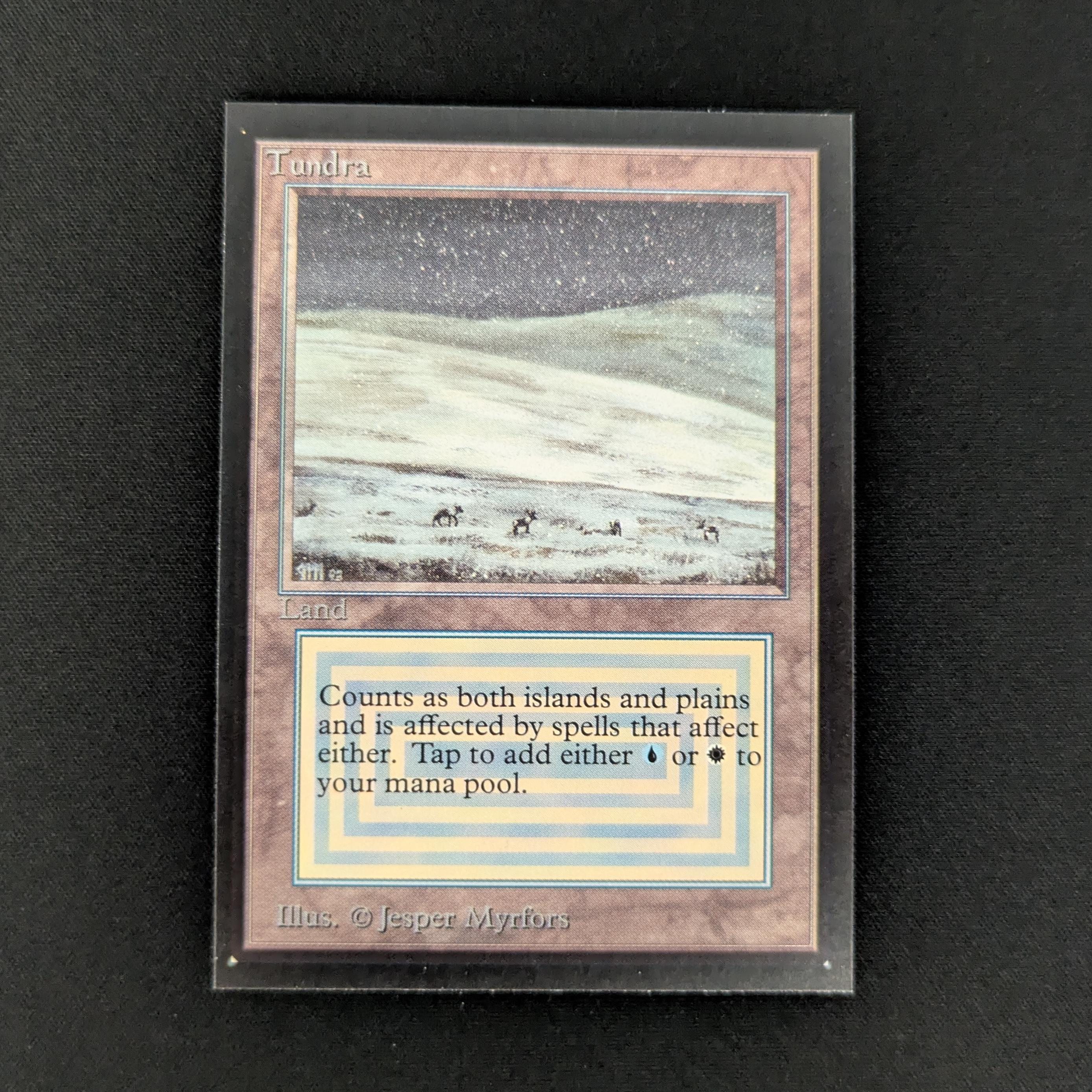 MTG Singles - Tundra - International Edition - NM - 27514