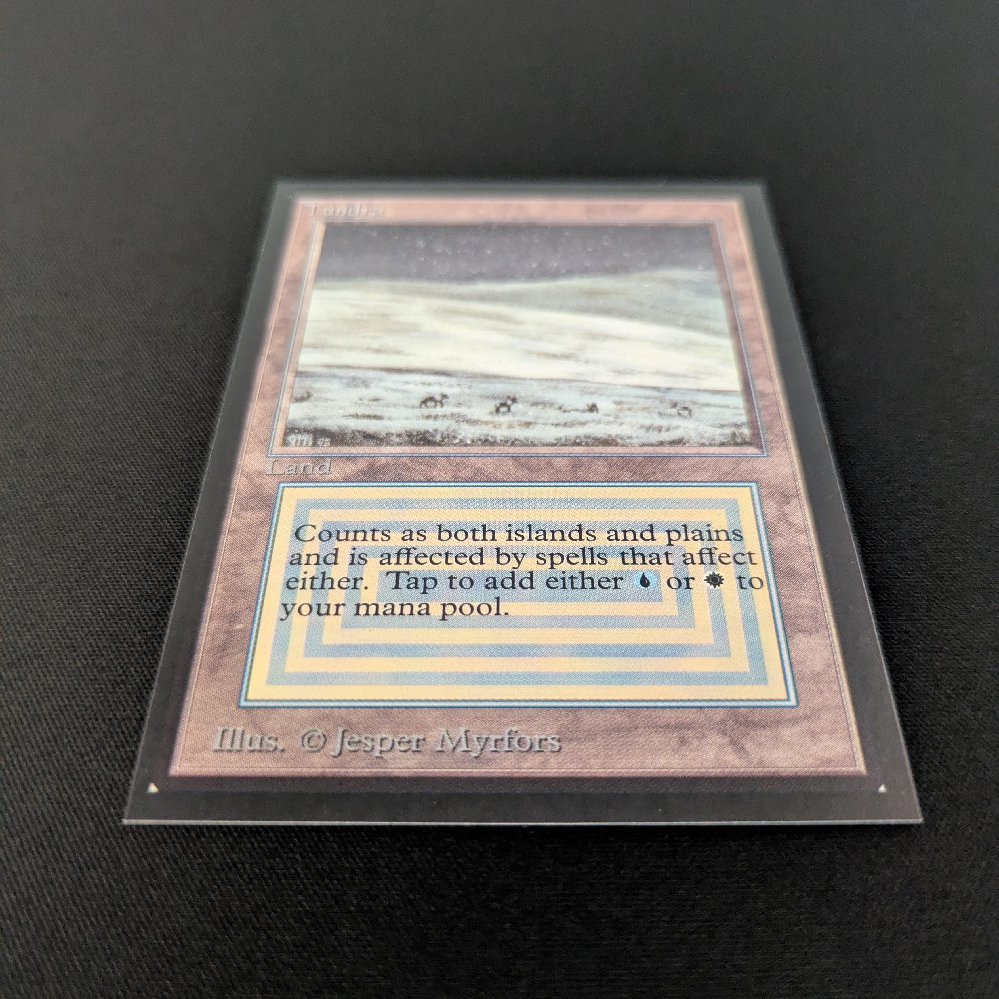 MTG Singles - Tundra - International Edition - 