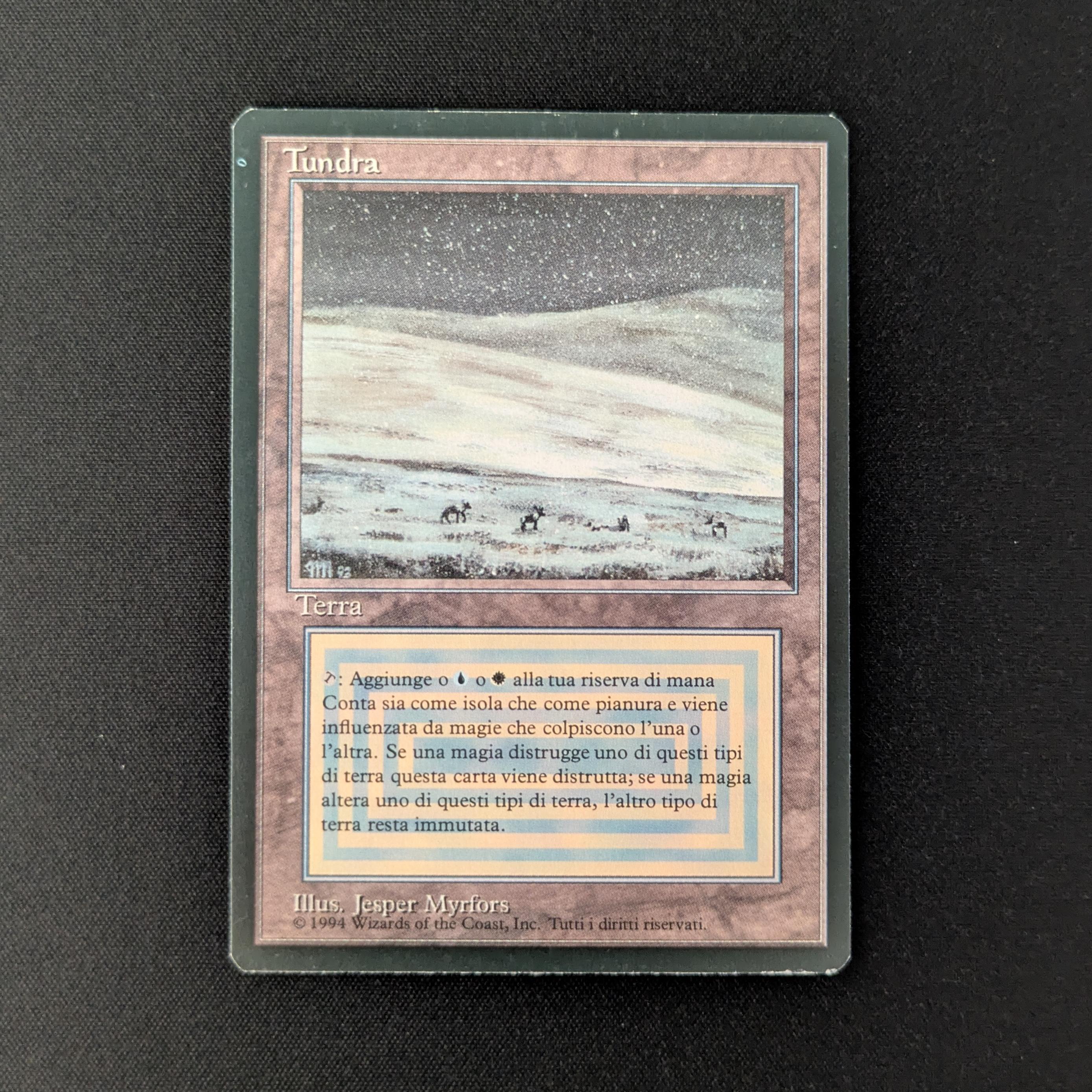 MTG Singles - Tundra - Foreign Black Bordered - 