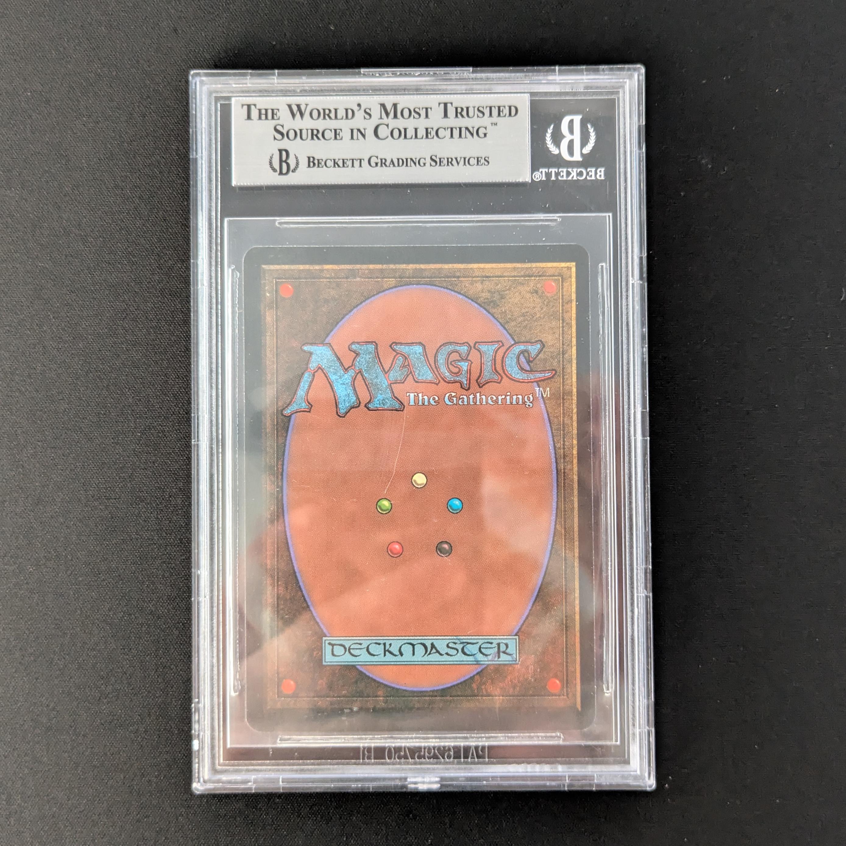 MTG Singles - Bayou - Foreign Black Bordered - 