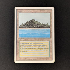 MTG Tropical  ③ Tropical Island | 3rd Edition / Revised - French | Star City