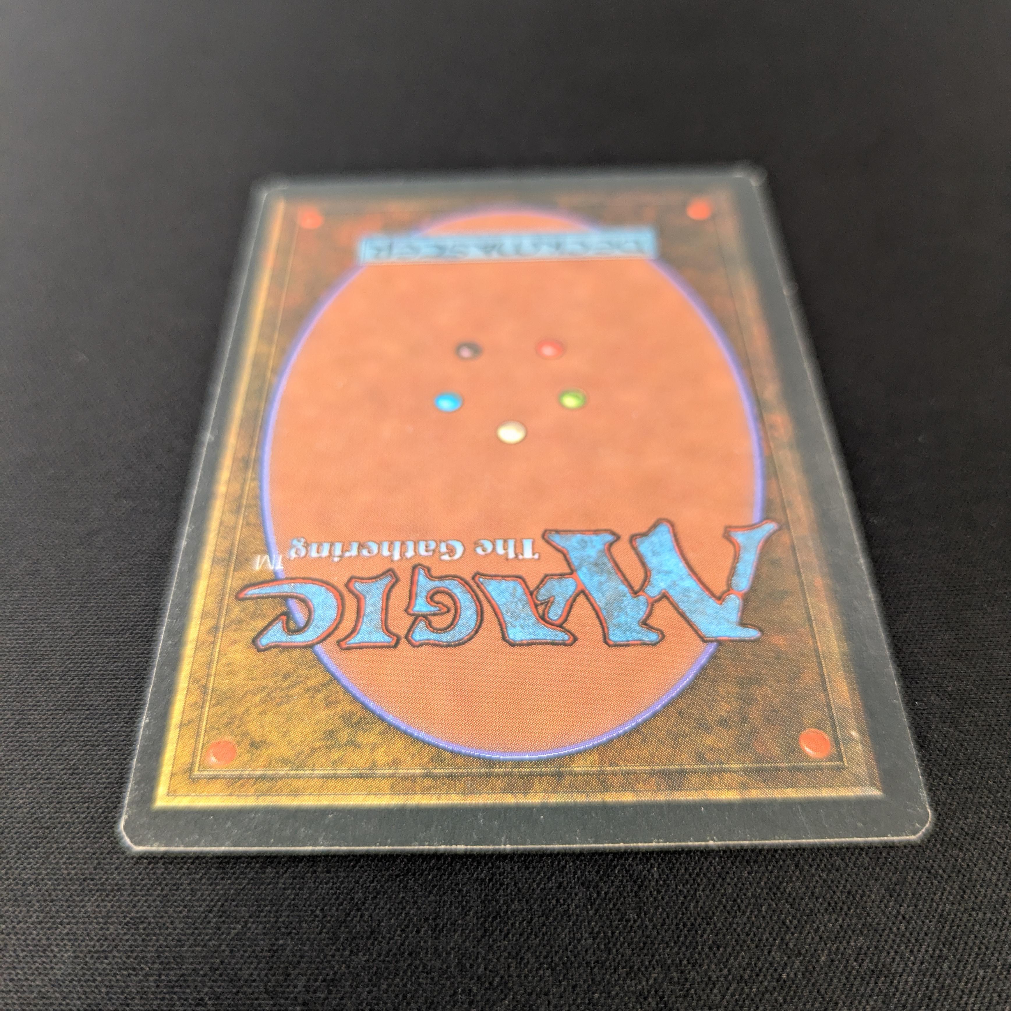 MTG Singles - Bayou - Foreign Black Bordered - 
