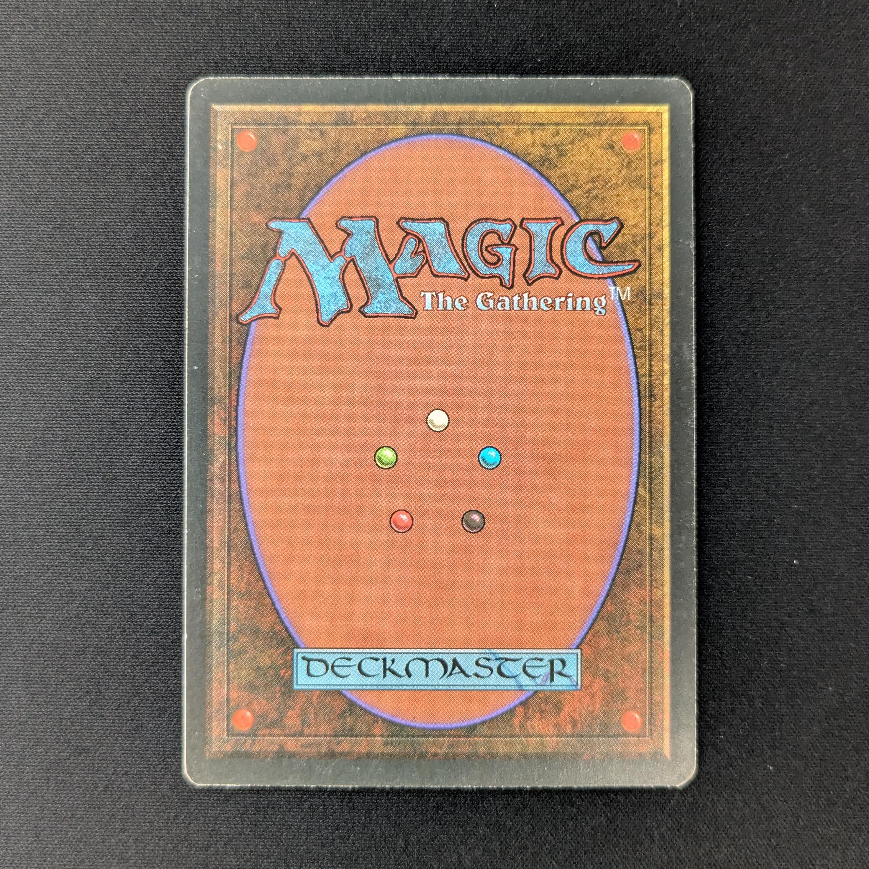 MTG Singles - Bayou - Foreign Black Bordered - 