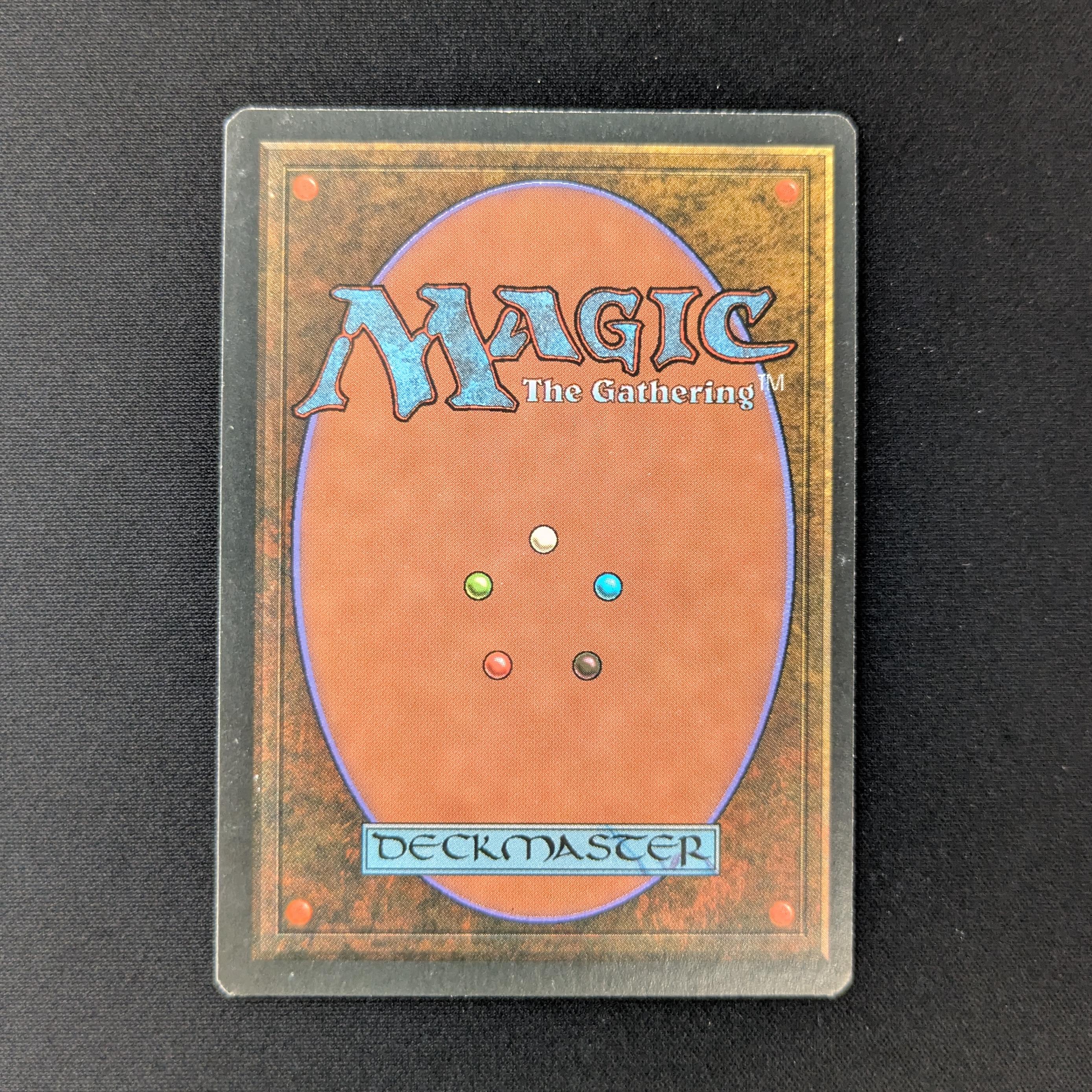MTG Singles - Bayou - Foreign Black Bordered - 
