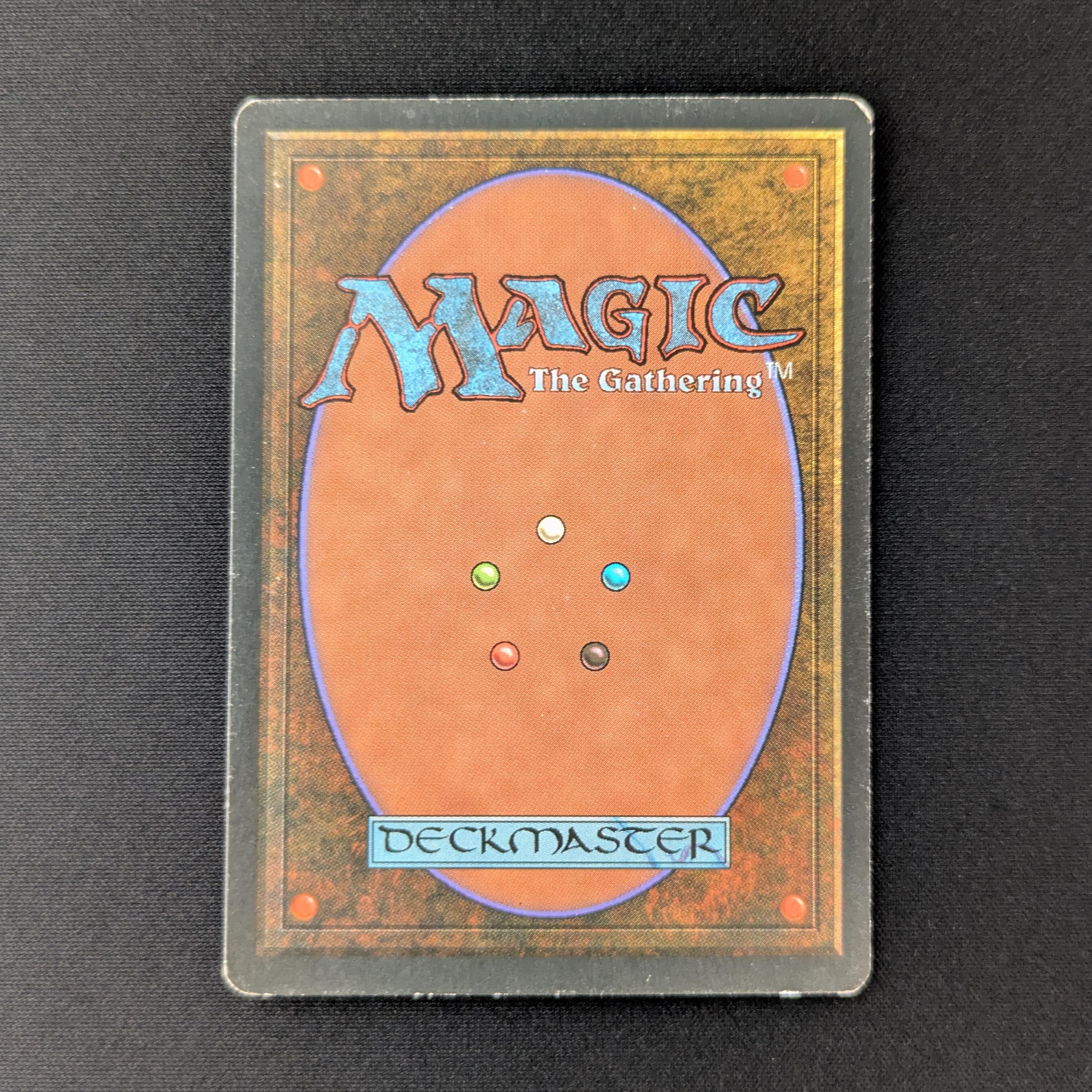 MTG Singles - Bayou - Foreign Black Bordered - 