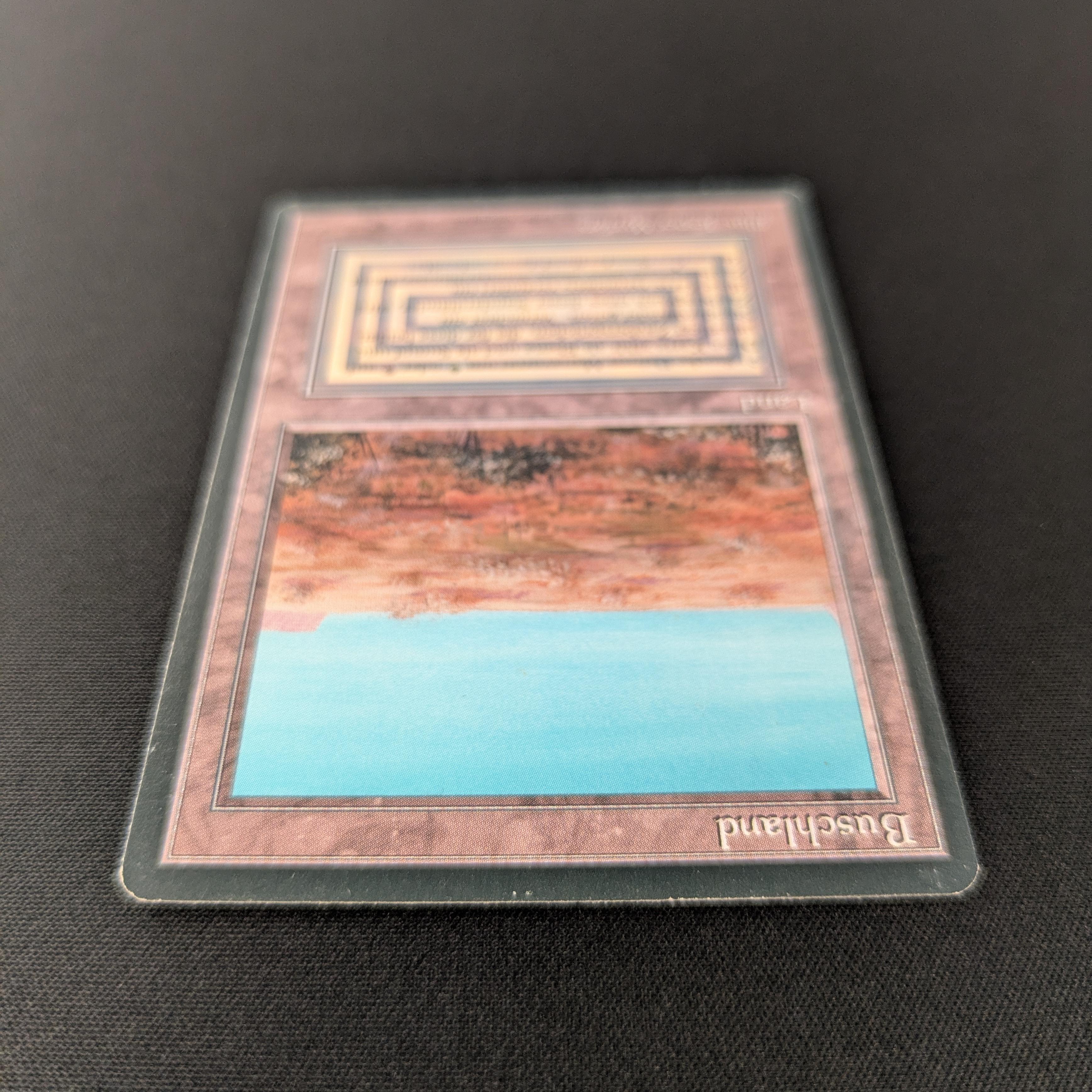 MTG Singles - Scrubland - Foreign Black Bordered - 