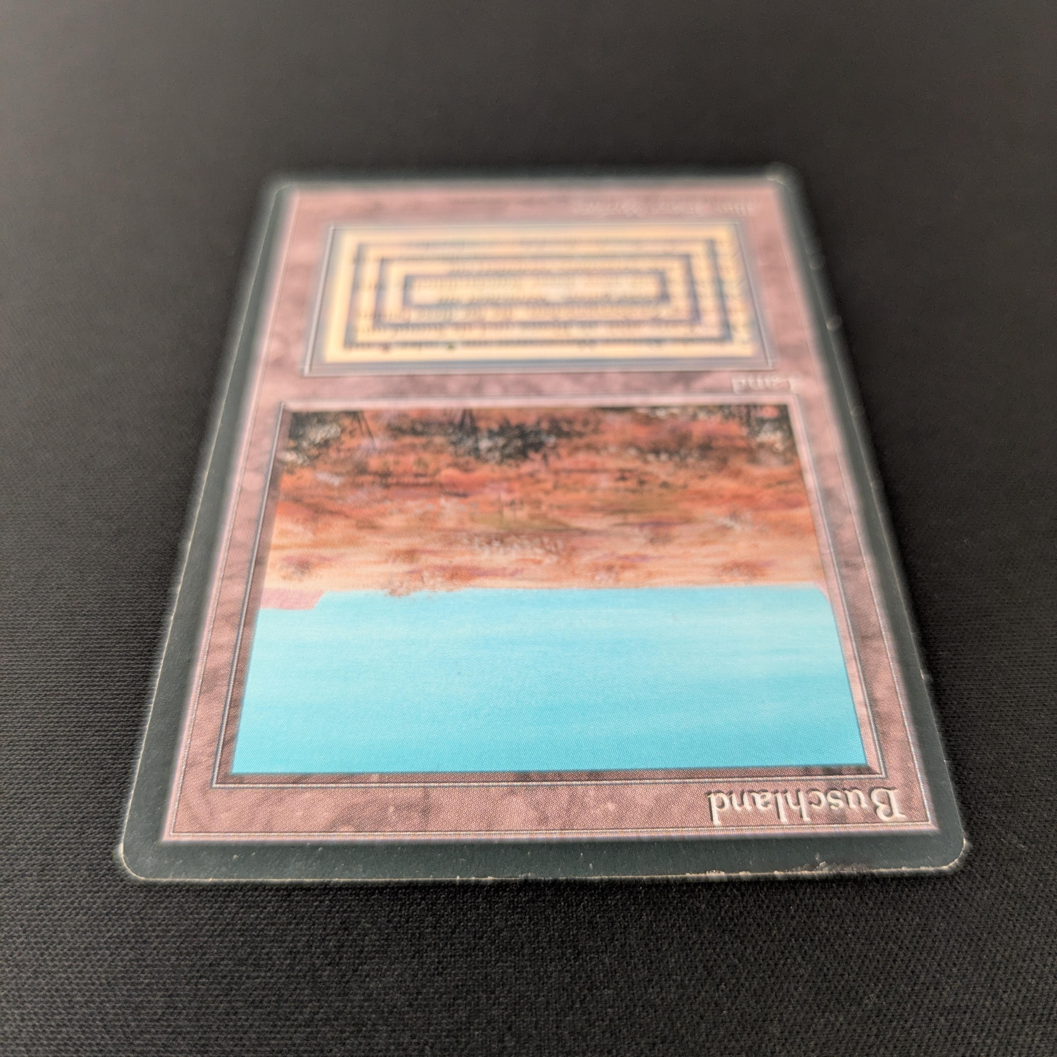 MTG Singles - Scrubland - Foreign Black Bordered - 