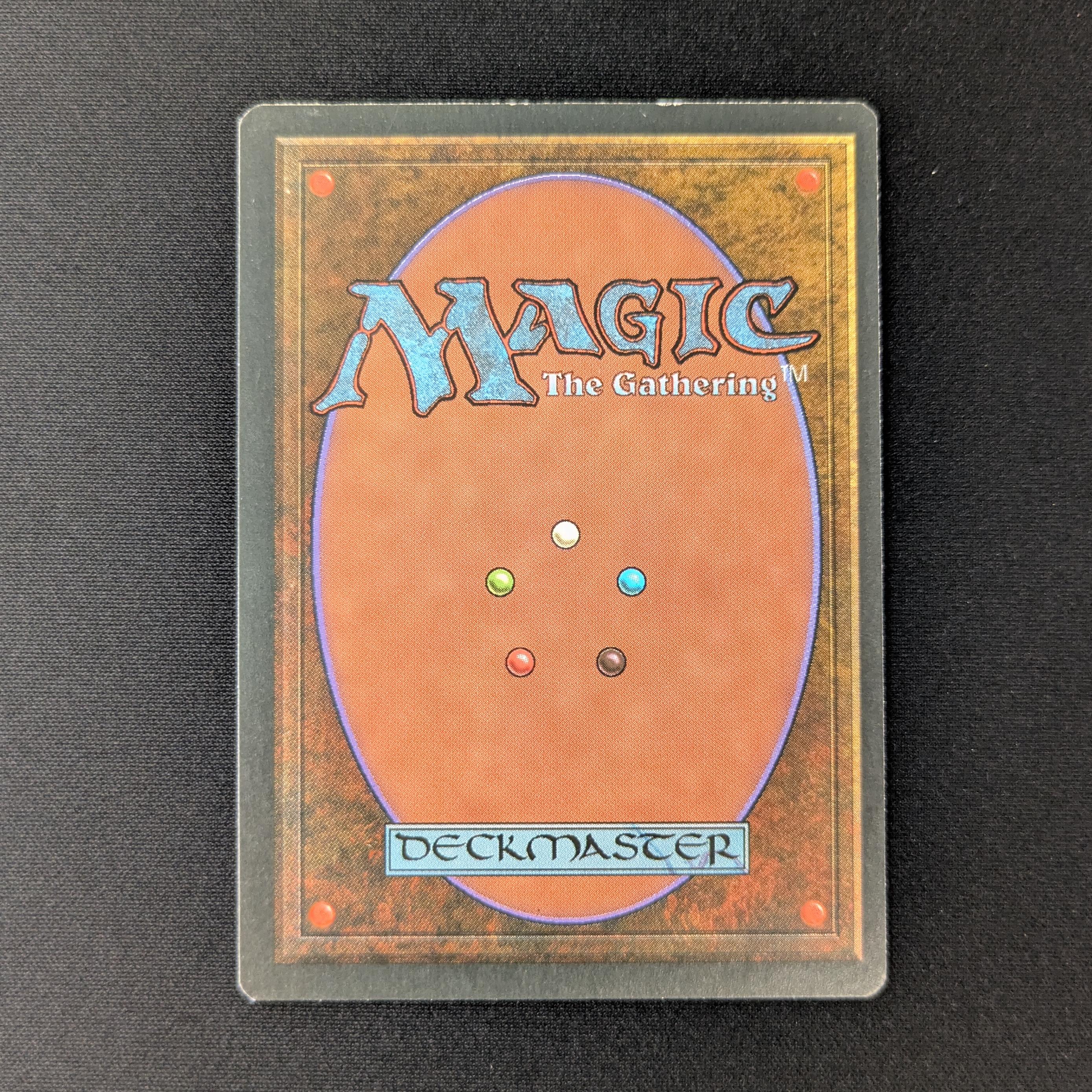 MTG Singles - Tundra - Foreign Black Bordered - 