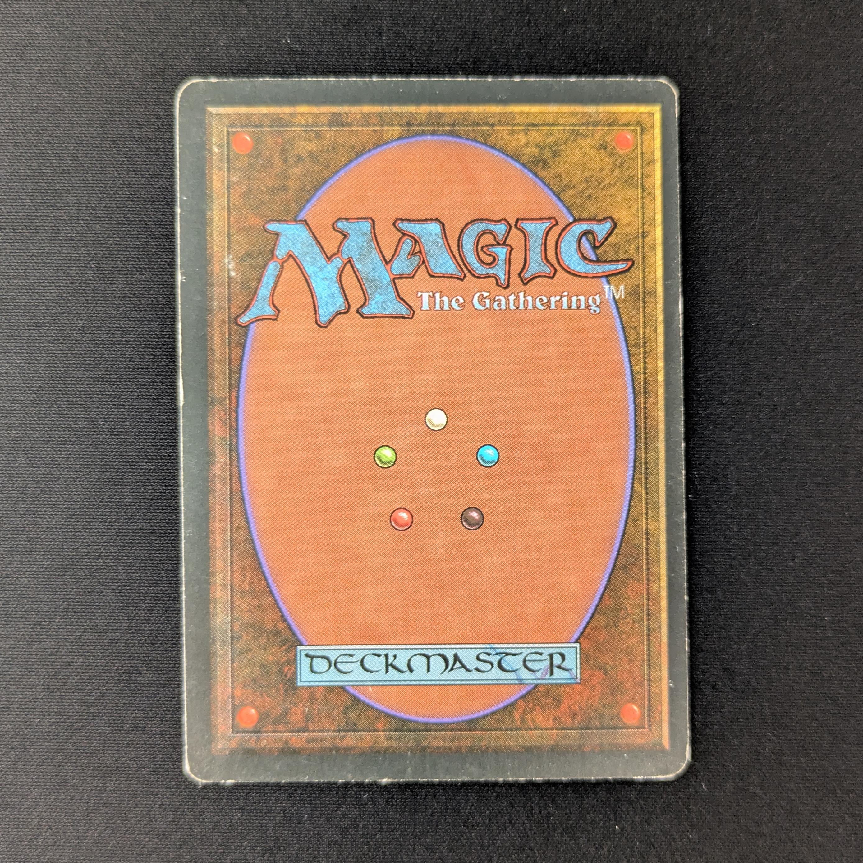 MTG Singles - Tundra - Foreign Black Bordered - 