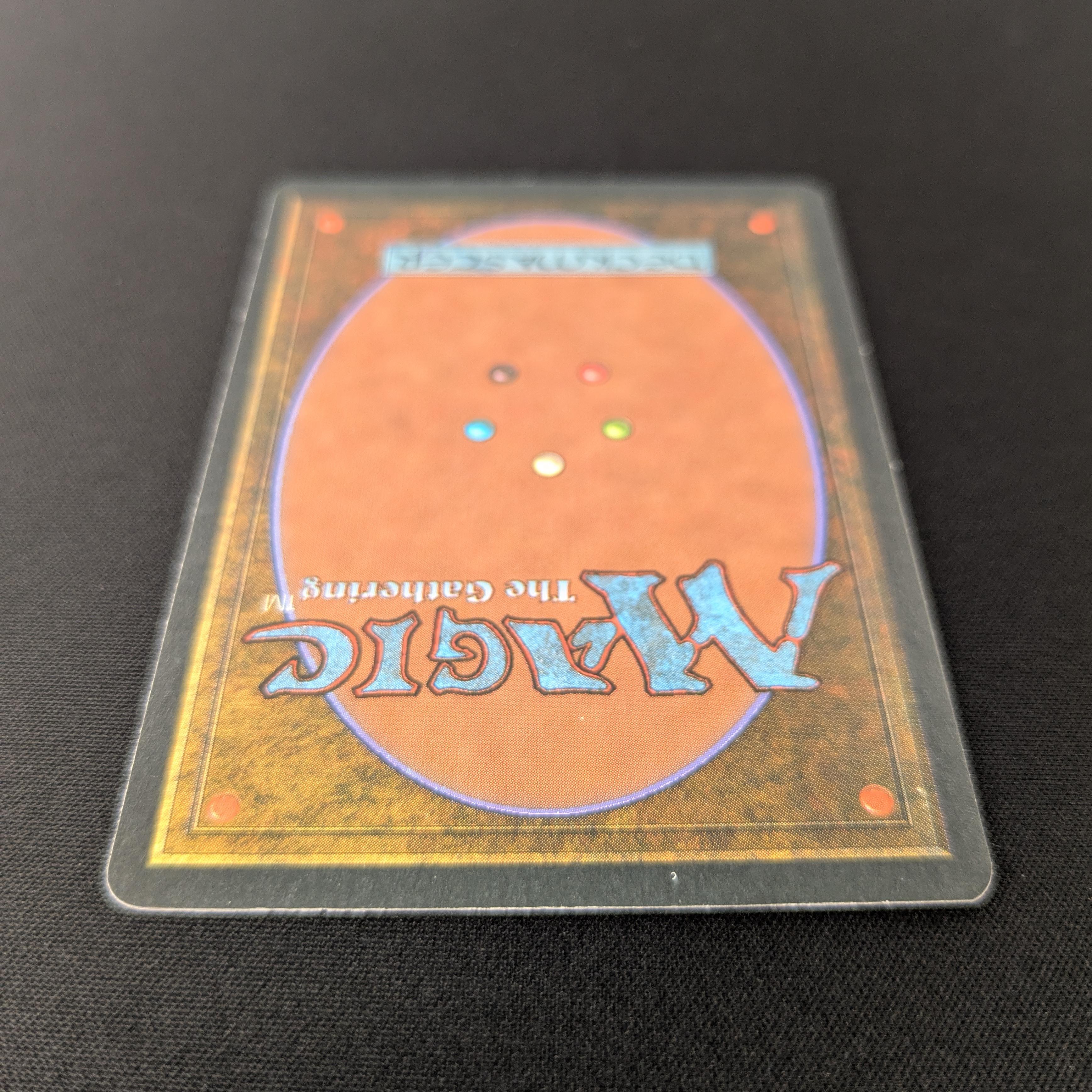 MTG Singles - Taiga - Foreign White Bordered - 