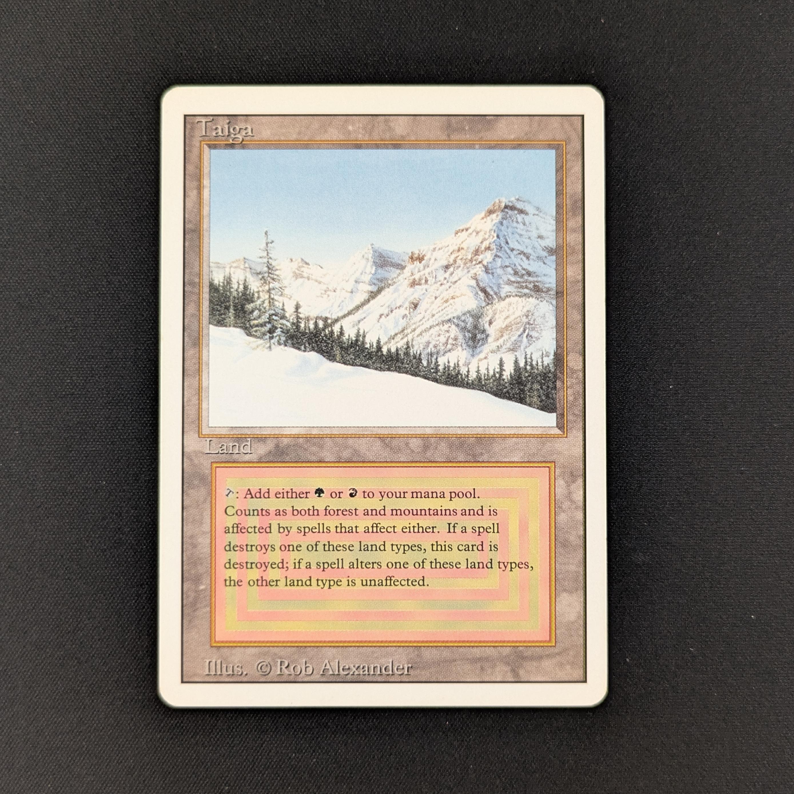 MTG Singles - Taiga - Revised - GD - 27834