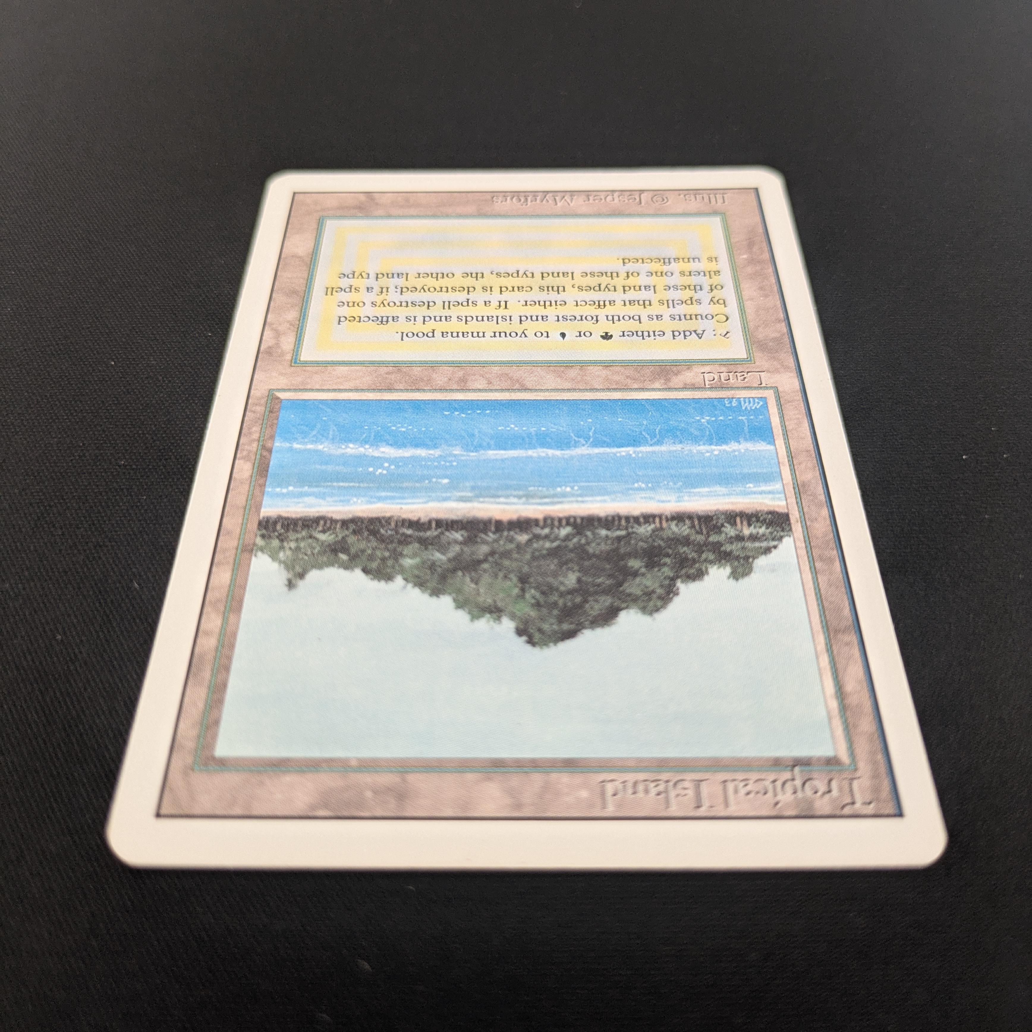 Tropical Island - Revised