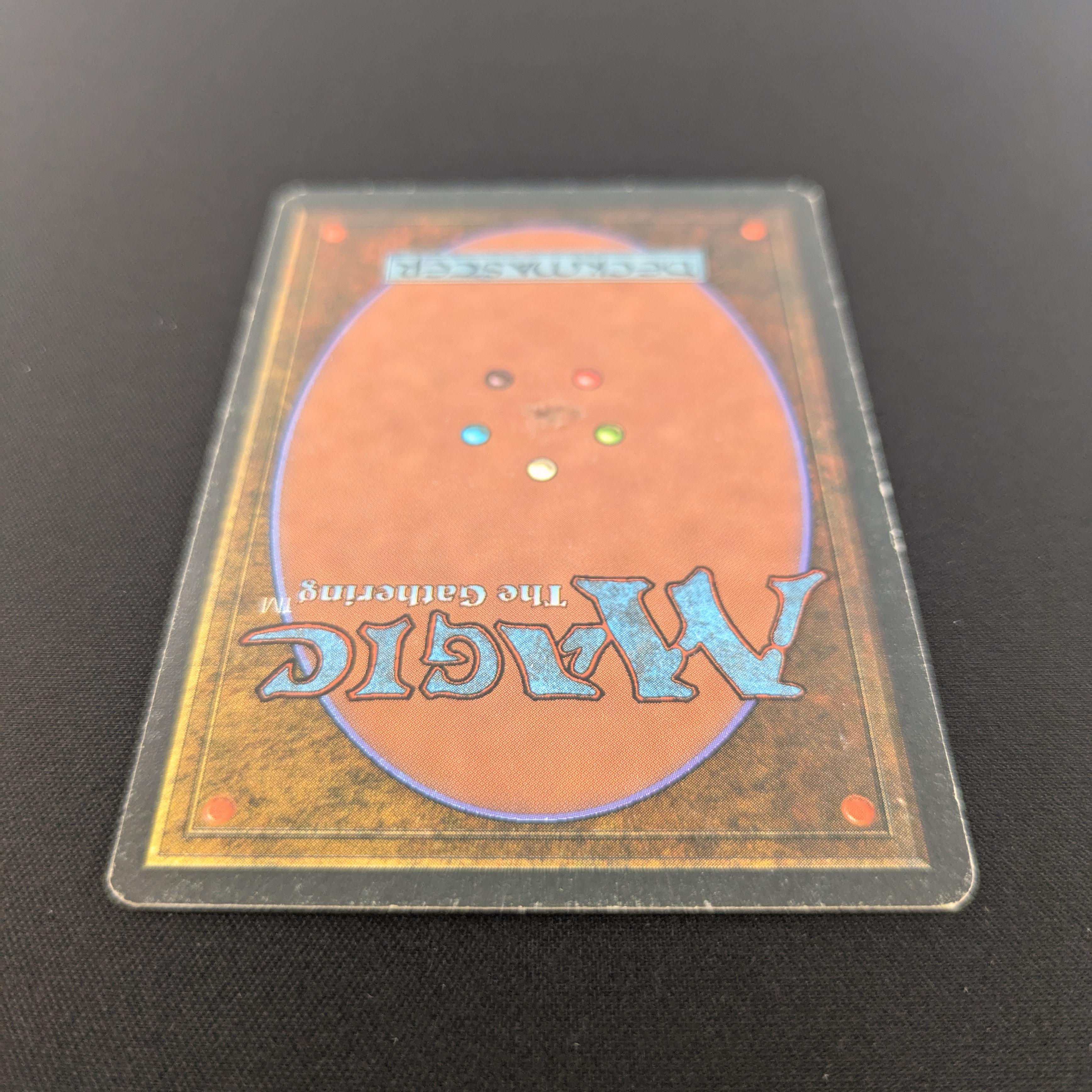 MTG Singles - Taiga - Foreign White Bordered - 