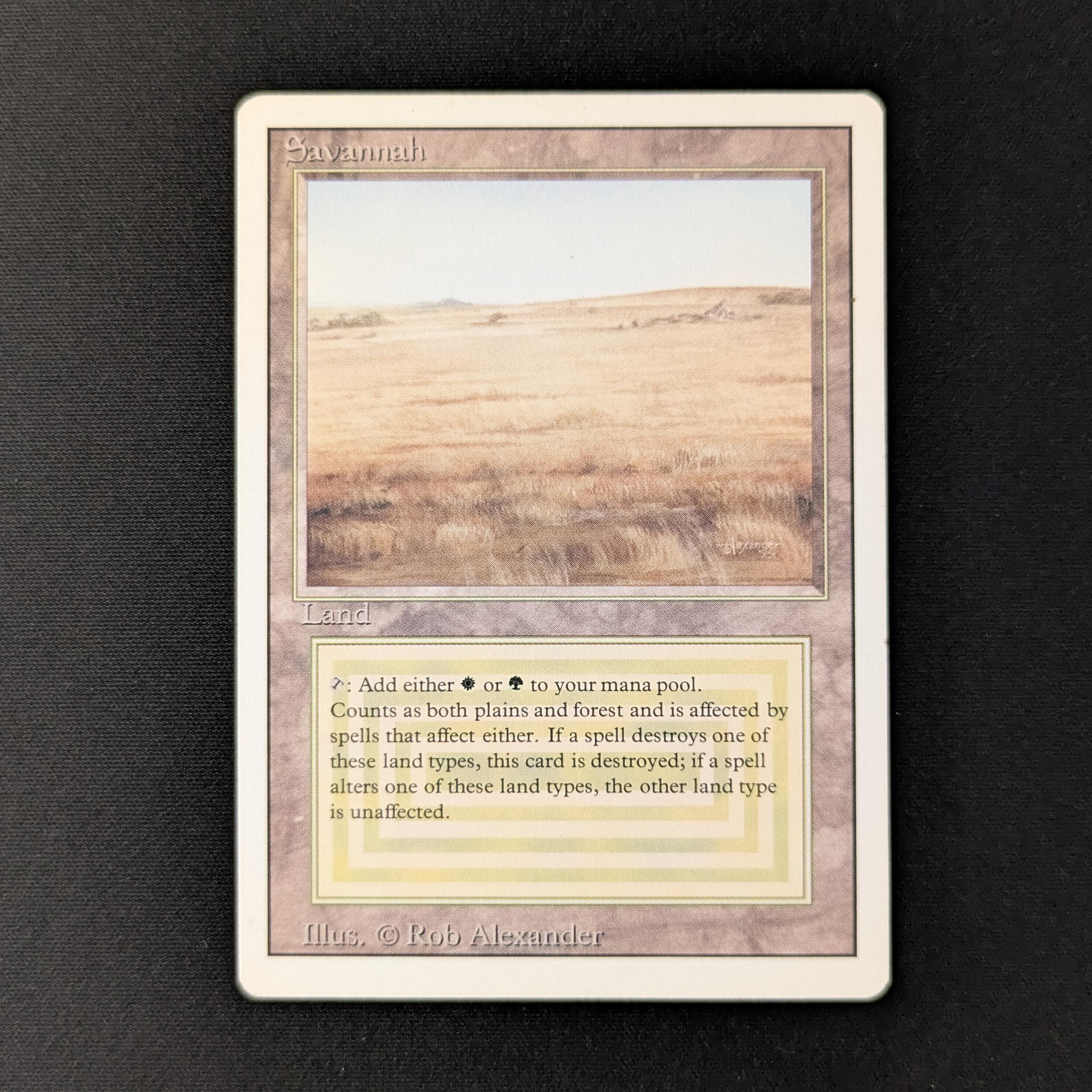 MTG Singles - Savannah - Revised - GD - 27899