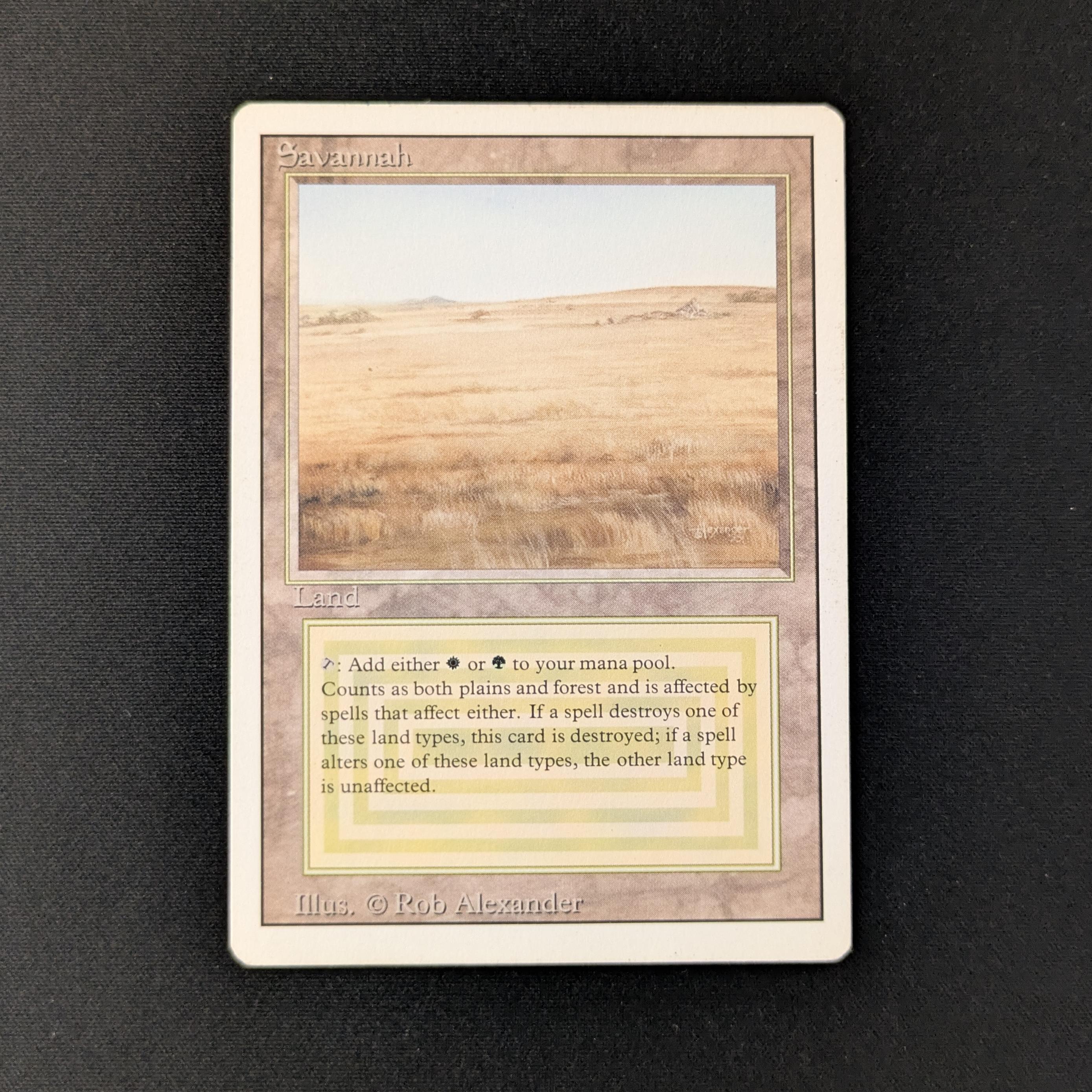 MTG Singles - Savannah - Revised - LP - 27901