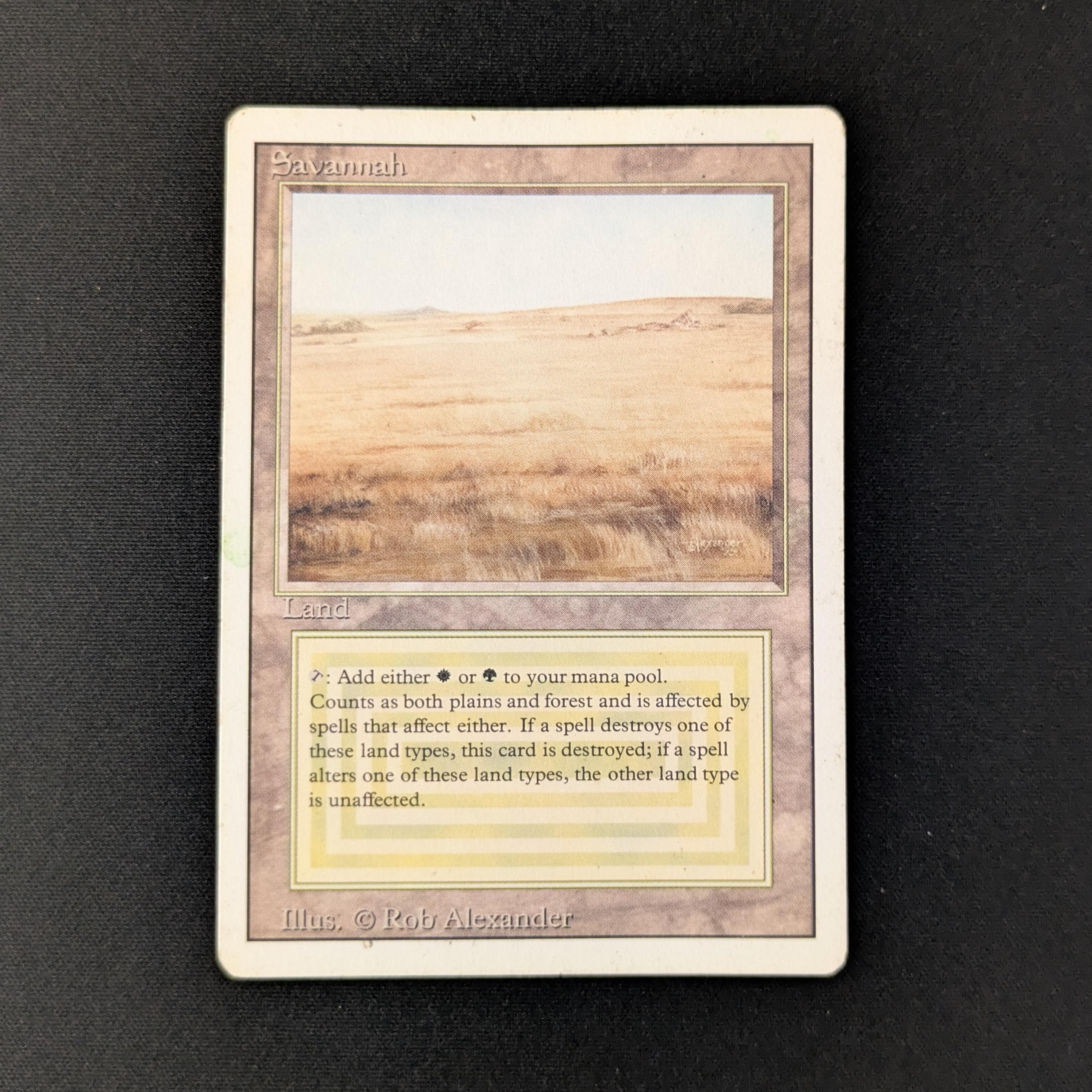 MTG Singles - Savannah - Revised - PL - 27903