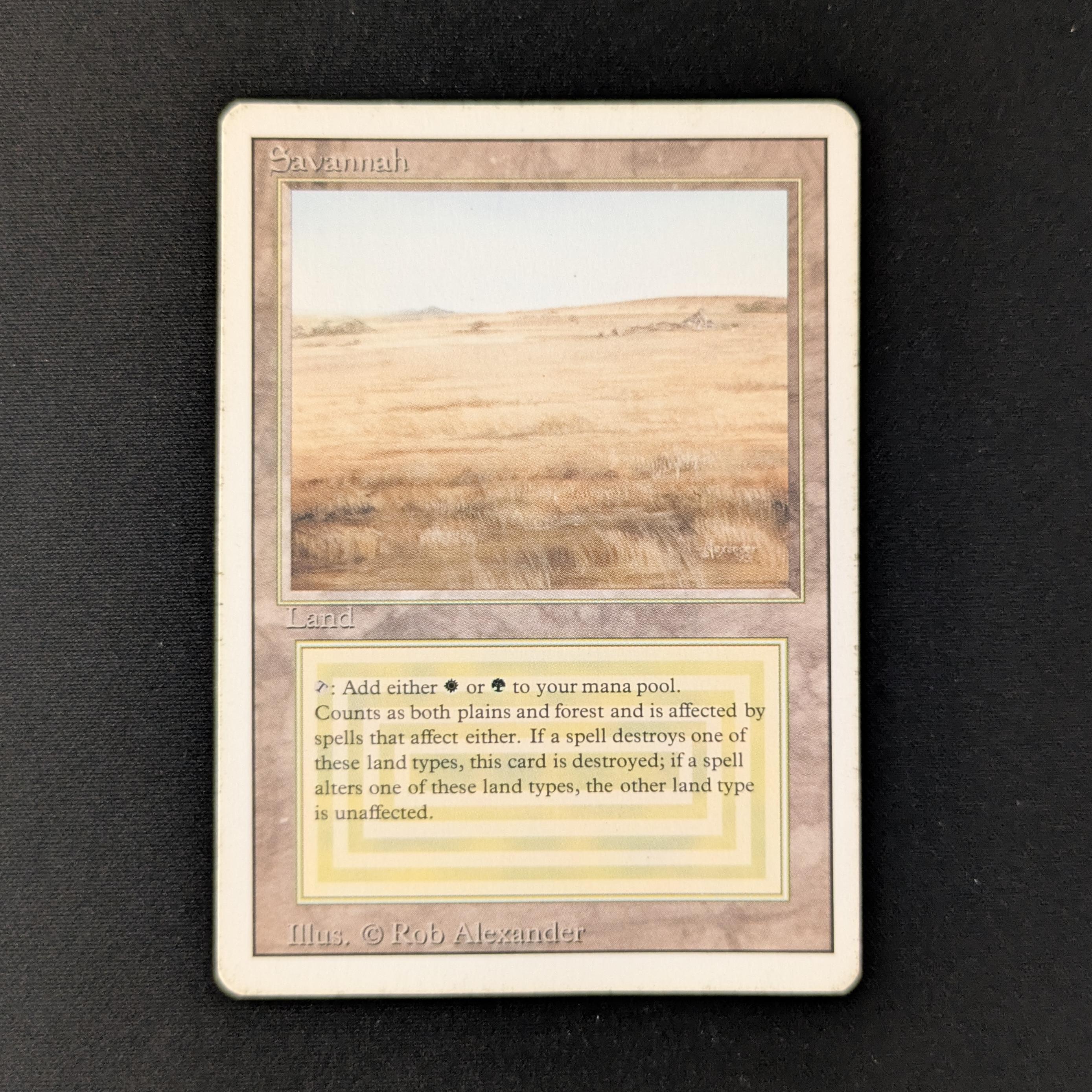 【MTG】Savannah Savannah (BB) | 3rd Edition - Black Border - German | Star