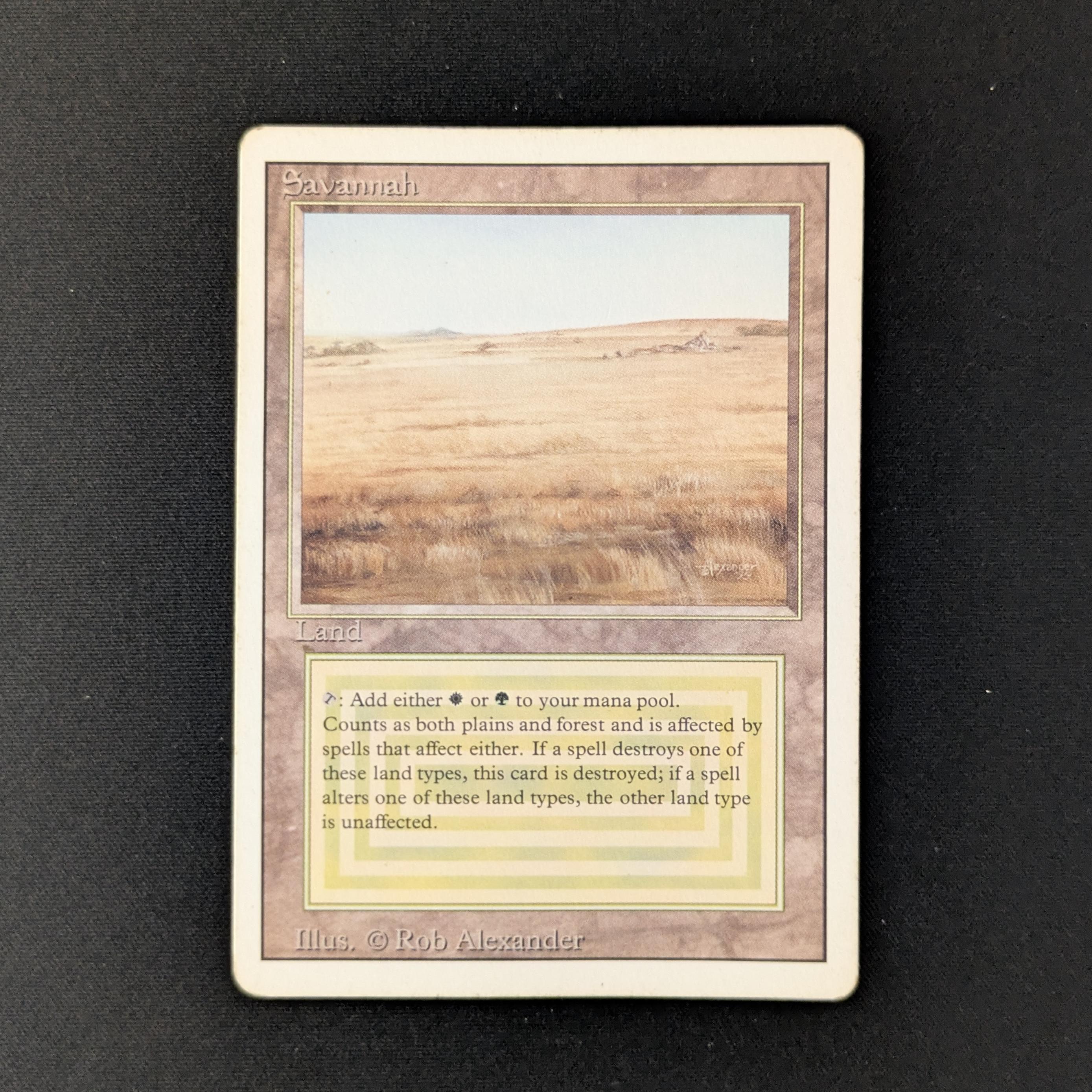MTG Singles - Savannah - Revised - PL - DING - 27905