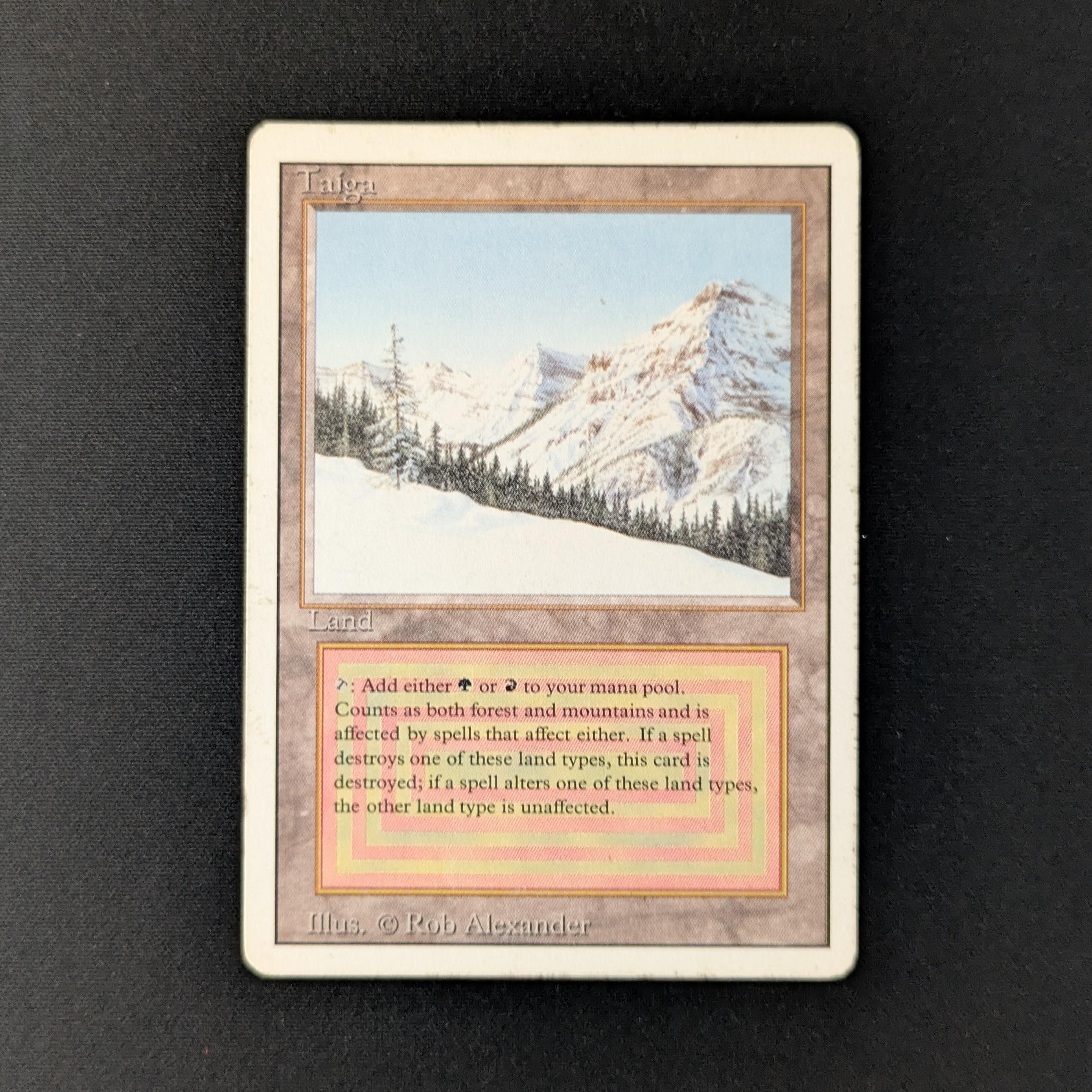 MTG Singles - Taiga - Revised - PL - 27911