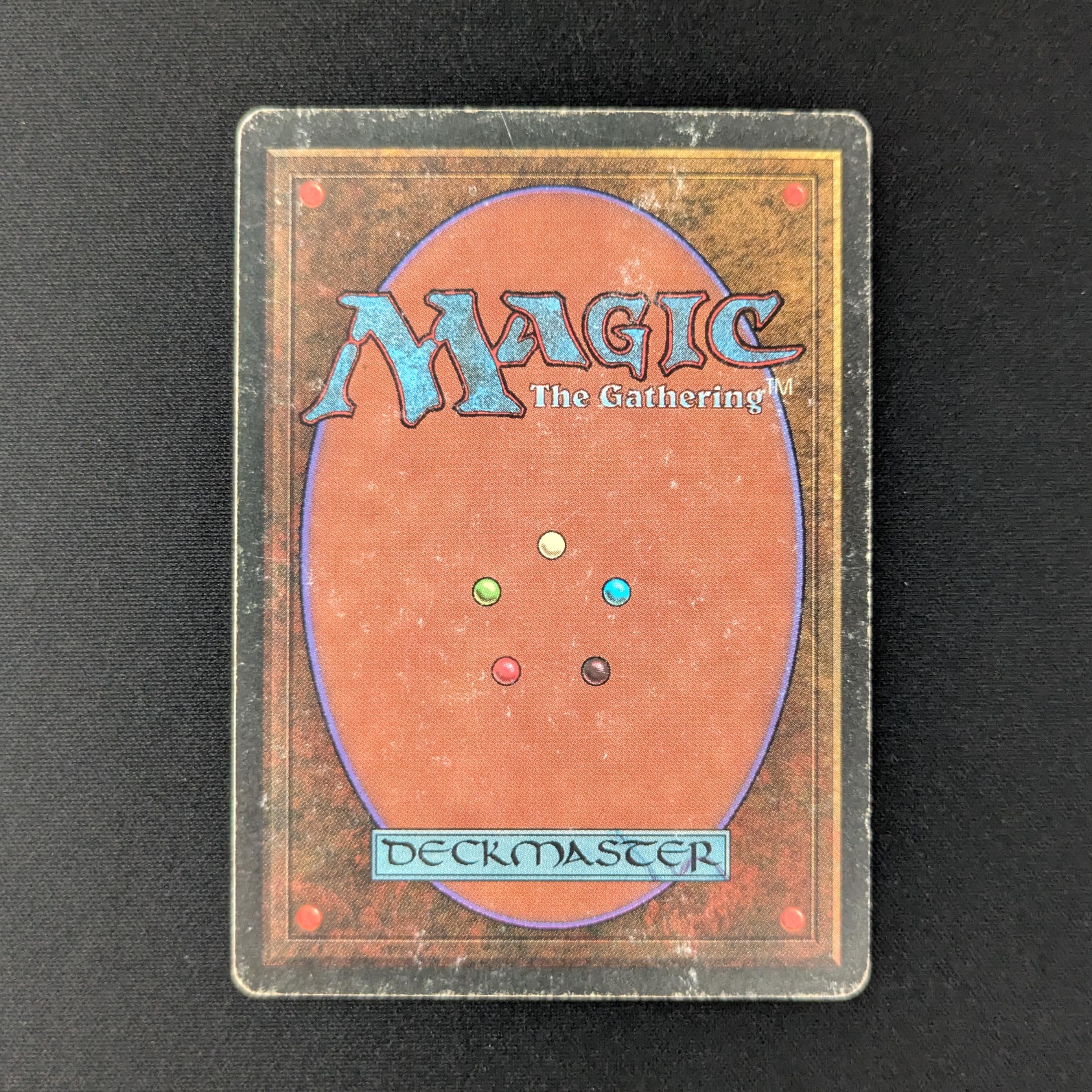 MTG Singles - Taiga - Revised - 