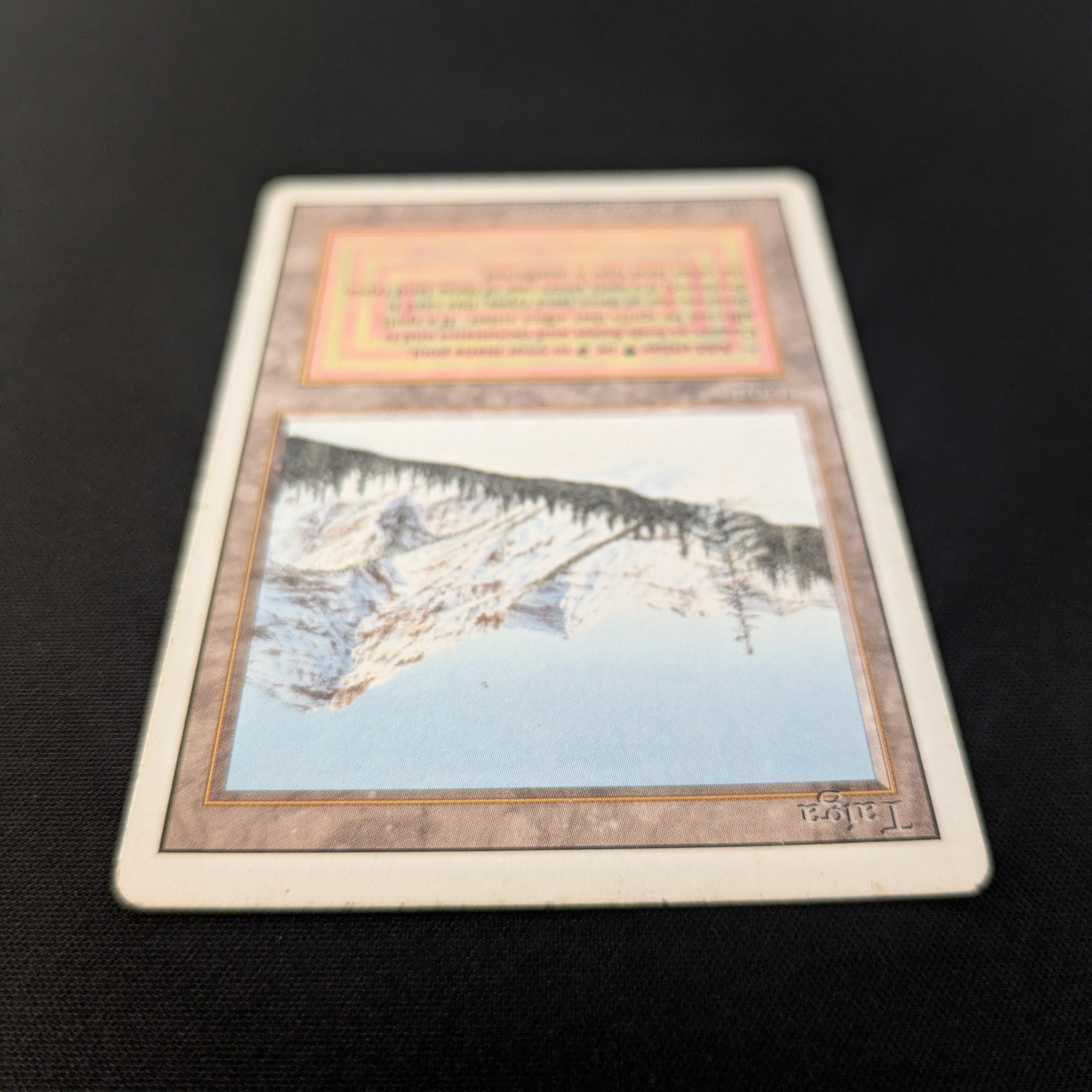 MTG Singles - Taiga - Revised - 