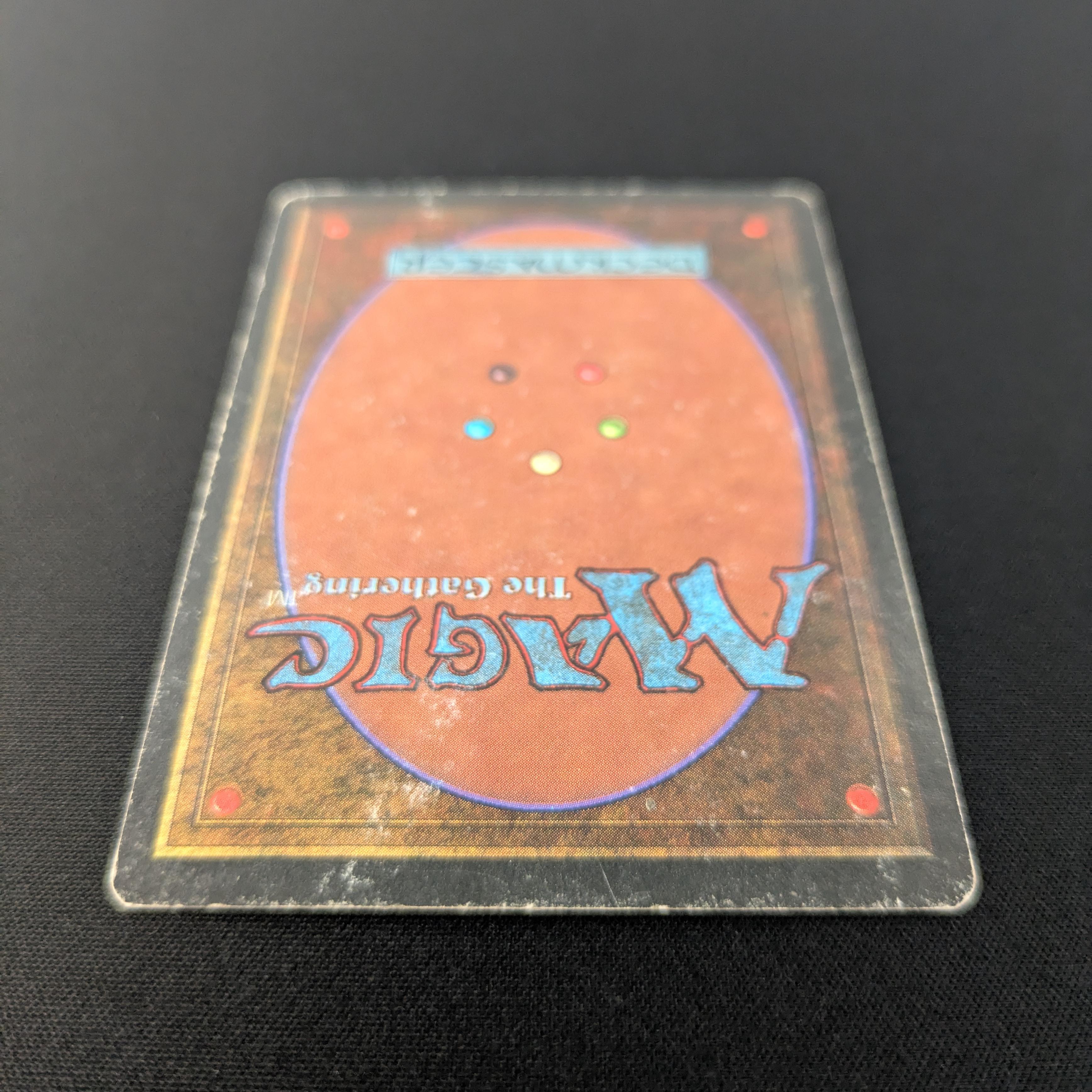 MTG Singles - Taiga - Revised - 