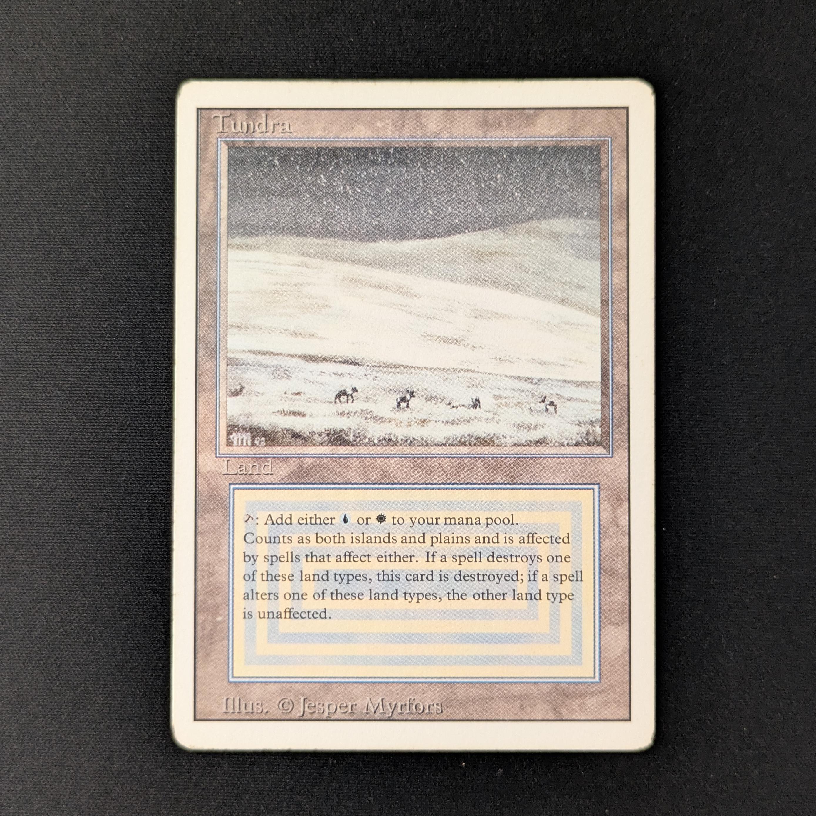 MTG Singles - Tundra - Revised - PL - 27922