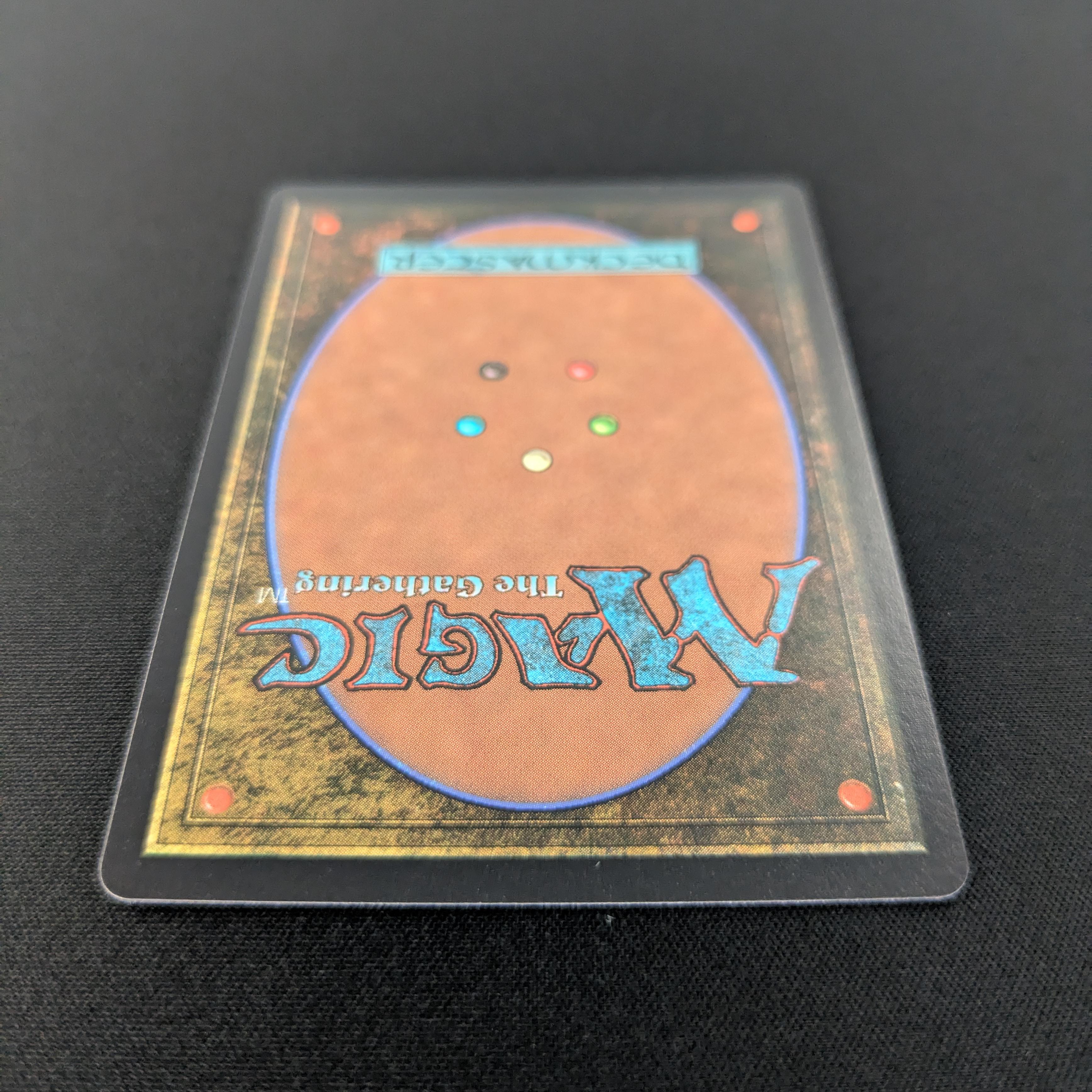 MTG Singles - [FOIL] Baylen, the Haymaker (Raised Foil) - Bloomburrow: Extras - NM - 