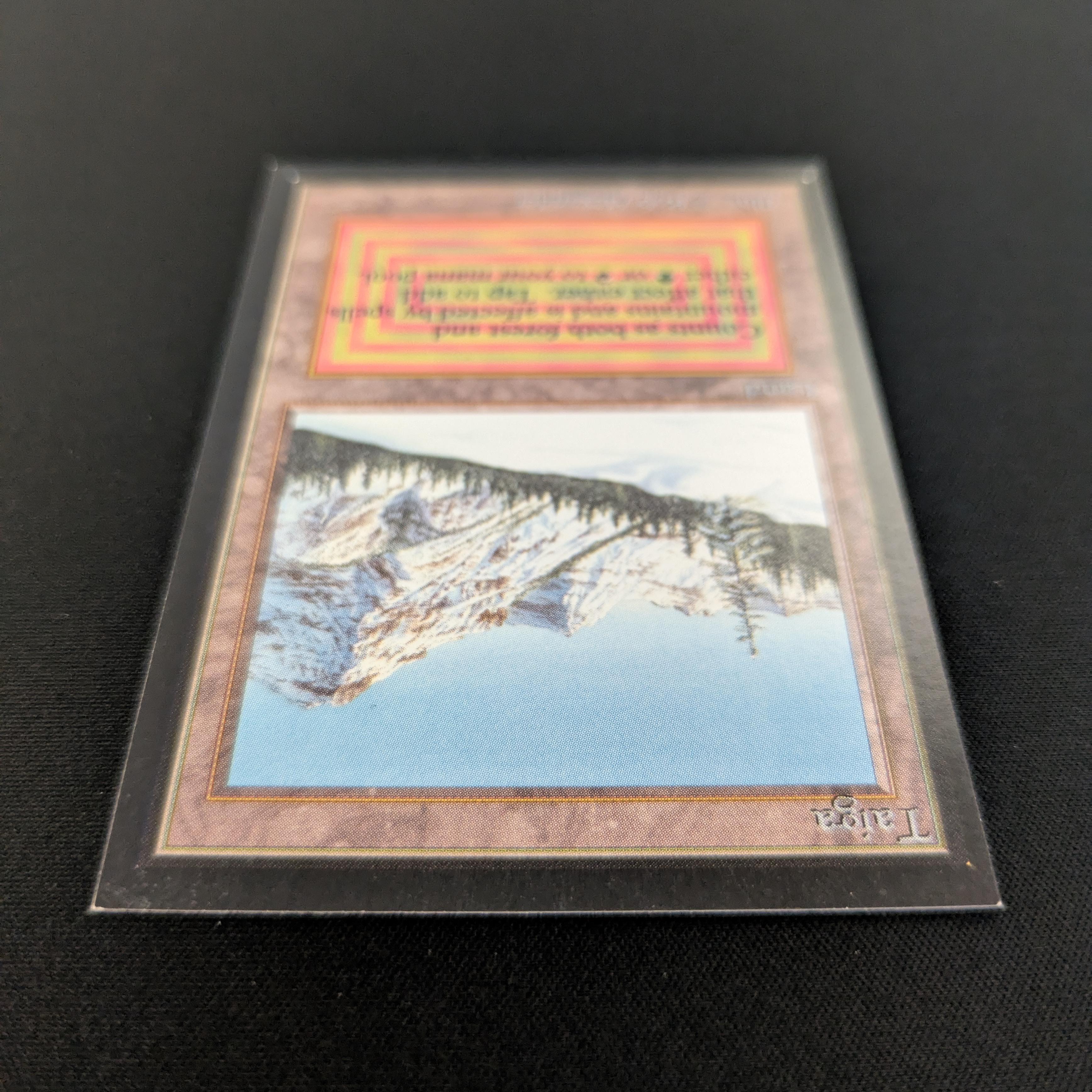 MTG Singles - Taiga - Collectors' Edition - 