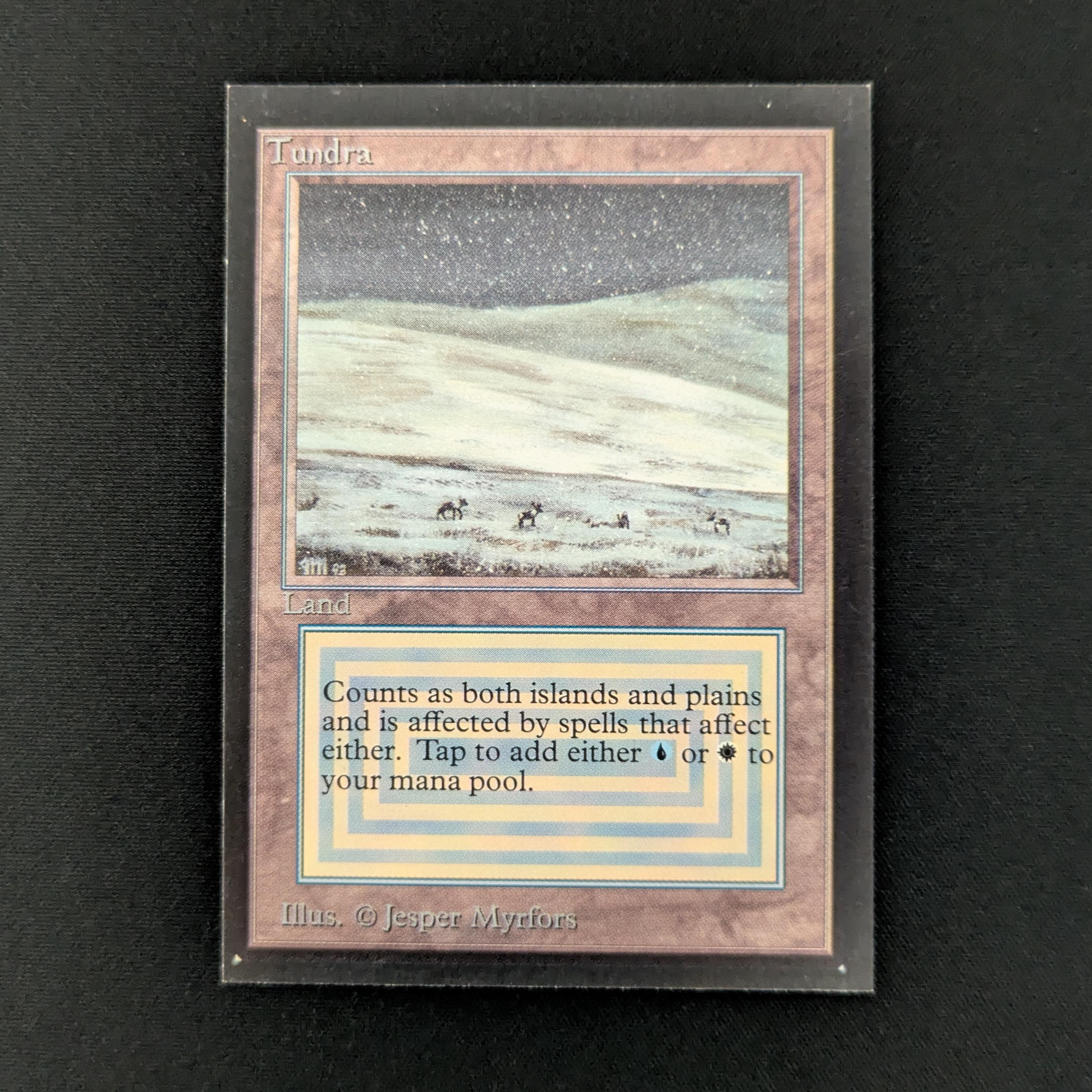 MTG Singles - Tundra - Collectors' Edition - NM - 28016