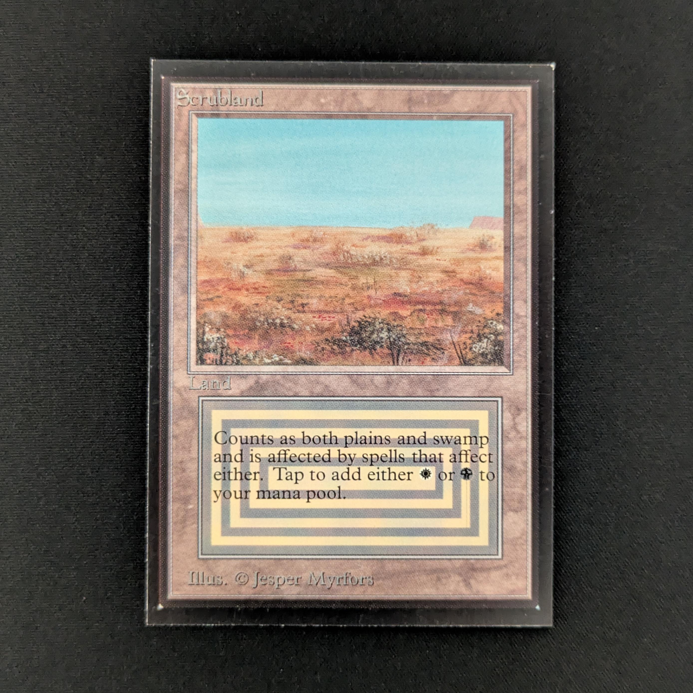 MTG Singles - Scrubland - International Edition - NM - 28035