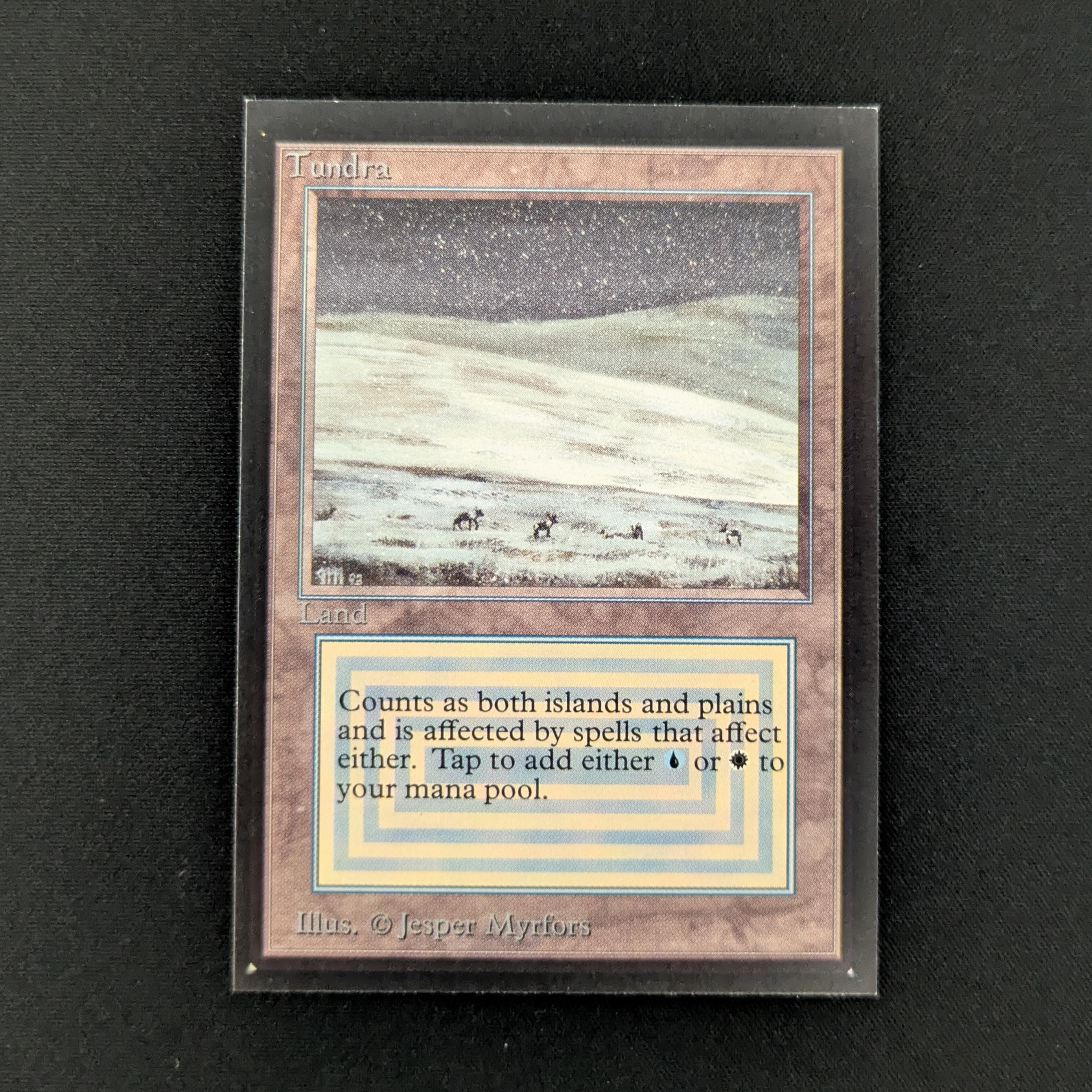 MTG Singles - Tundra - International Edition - NM - 28038