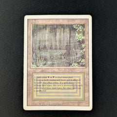 MTG Bayou ① Bayou - Revised