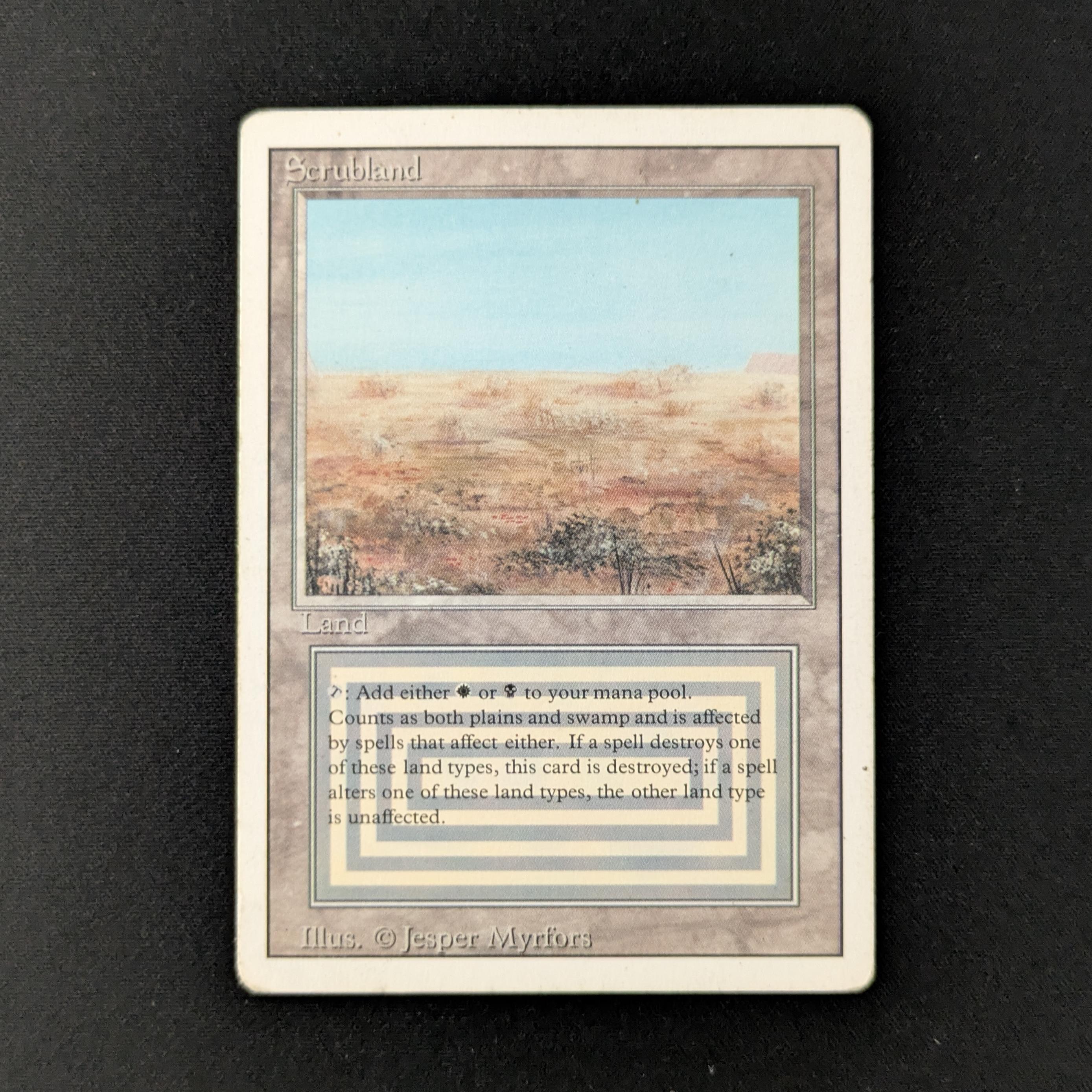 【MTG】Scrubland 英語1枚 Scrubland (Not Tournament Legal) | 30th Anniversary Edition