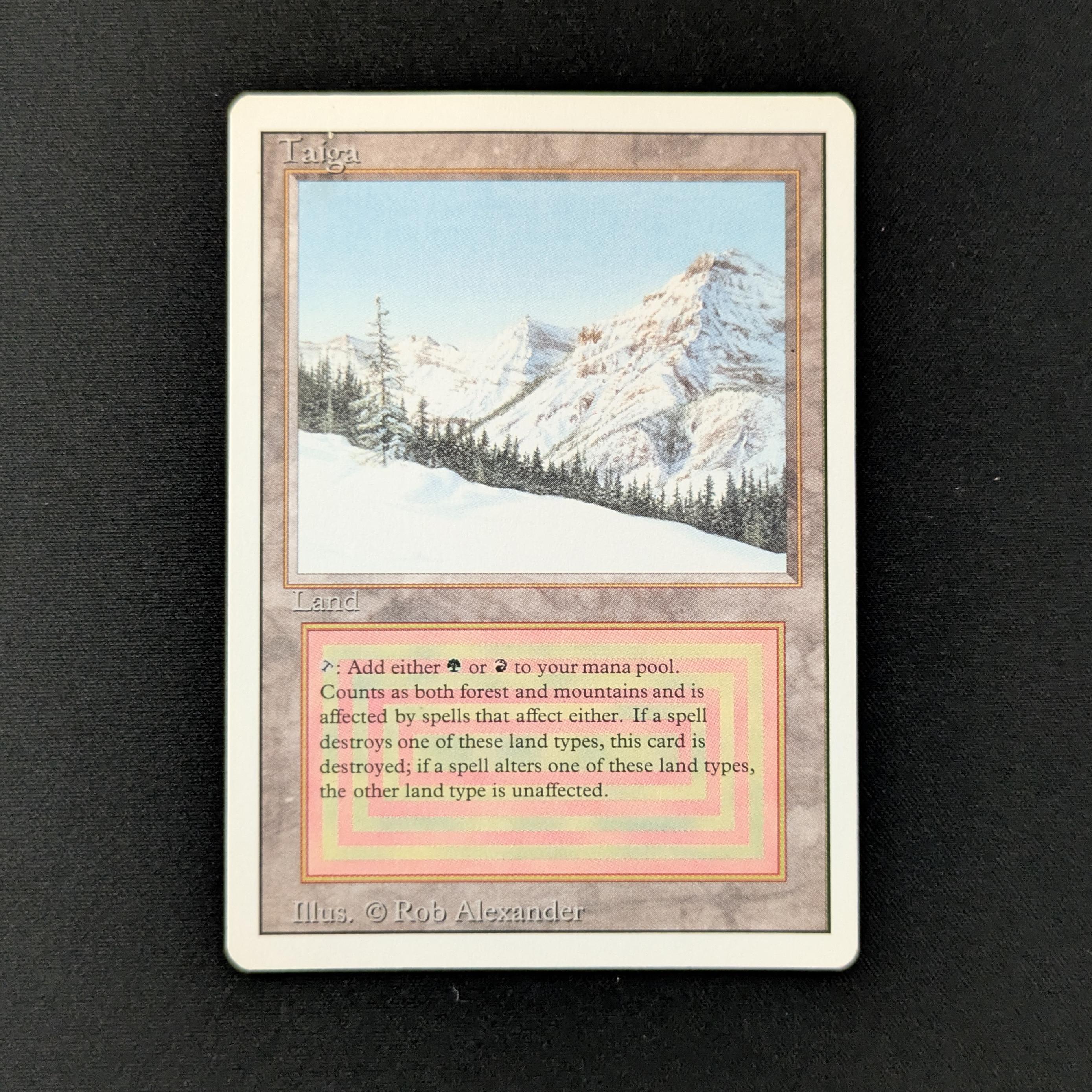 MTG Singles - Taiga - Revised - EX - 28138