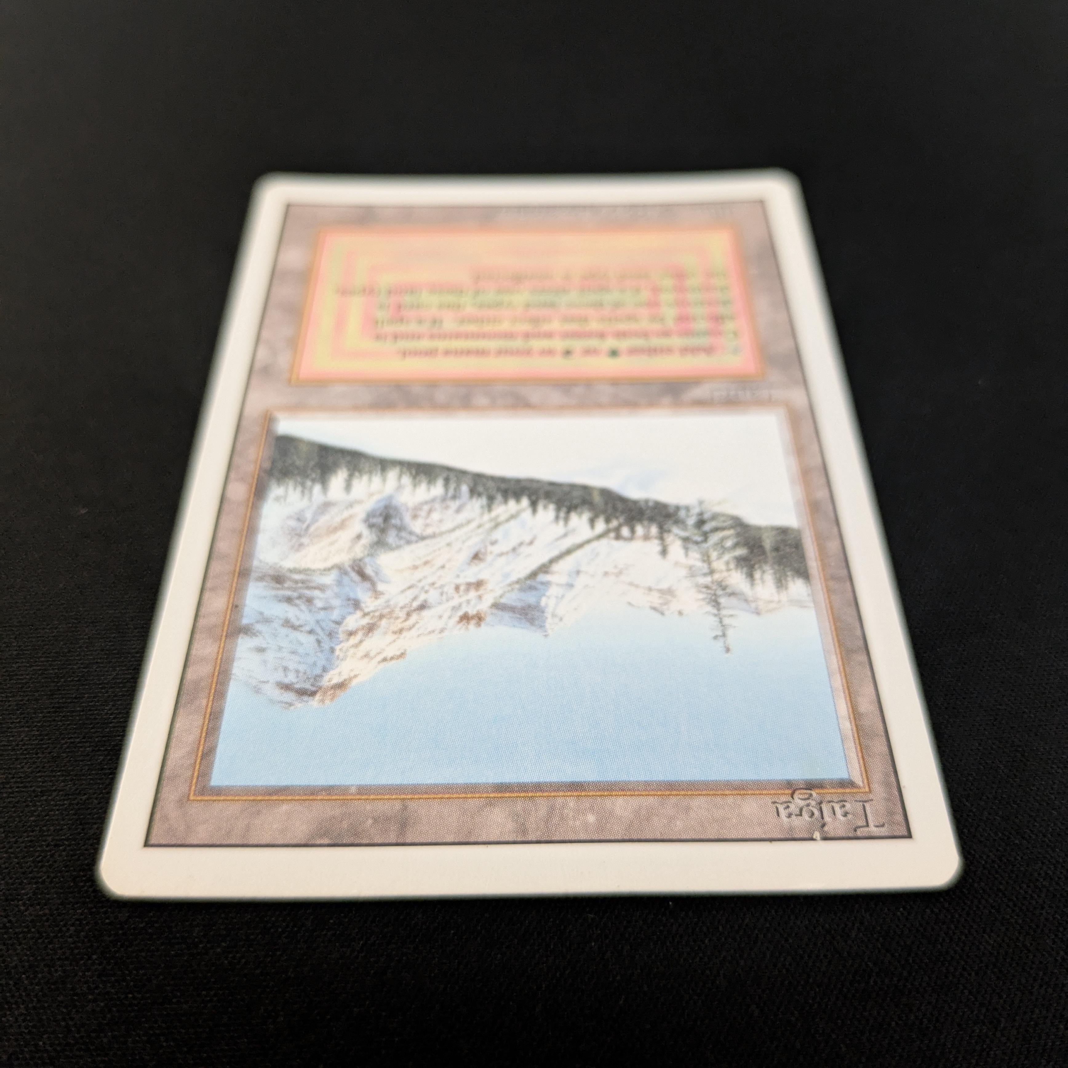 MTG Singles - Taiga - Revised - 