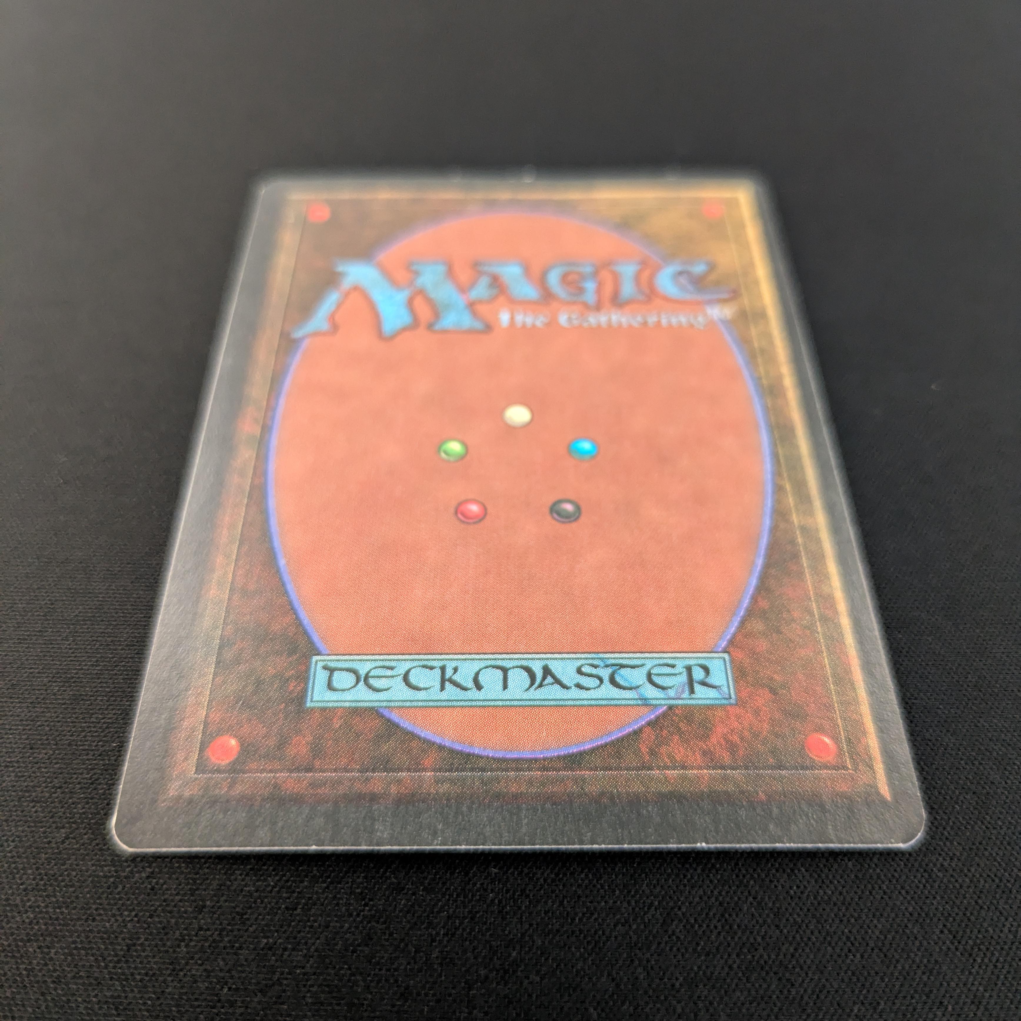マジック：ザ・ギャザリング Taiga 3ed Revised Magic the Gathering 3rd Ed Revised Taiga HEAVILY PLAYED (HP