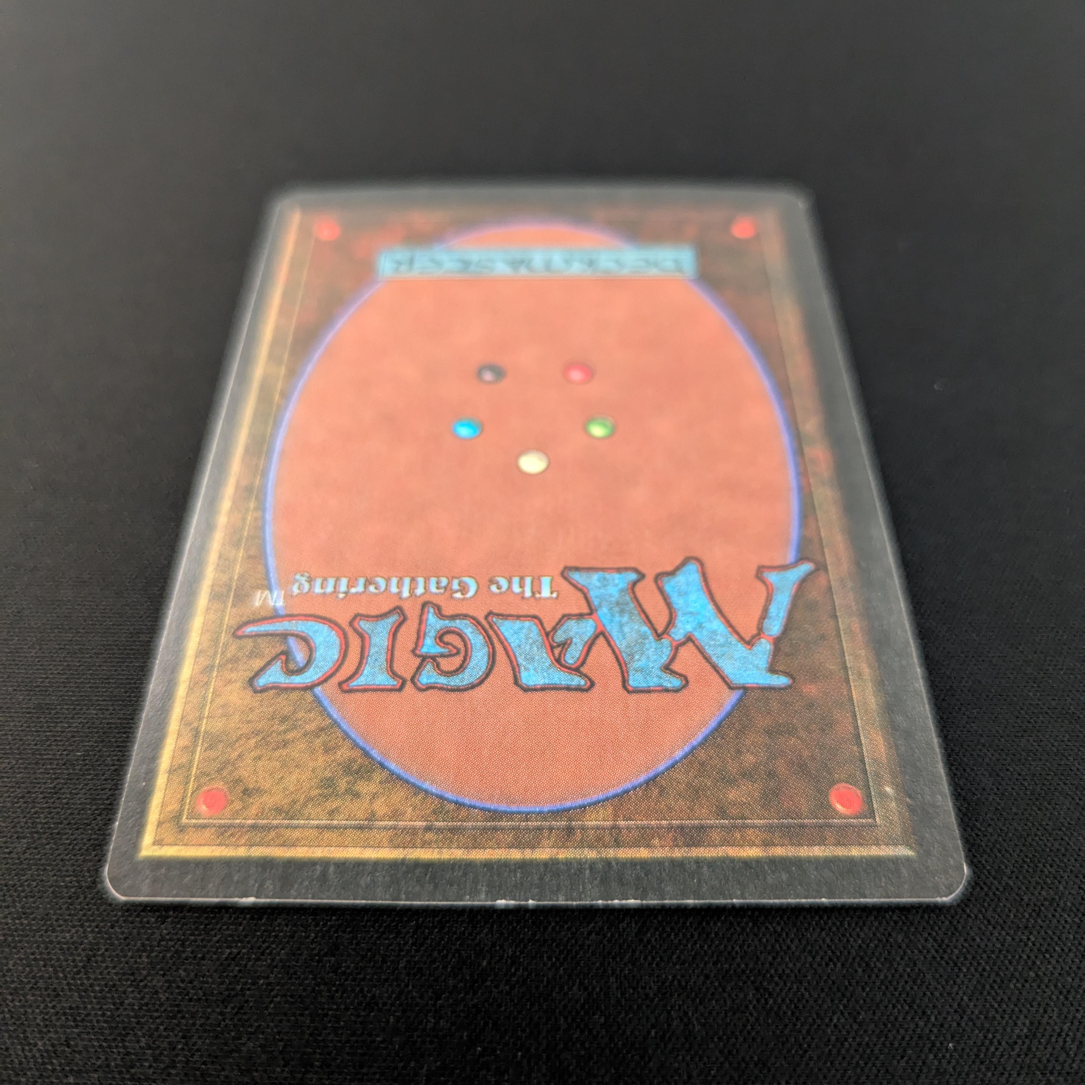 MTG Singles - Taiga - Revised - 