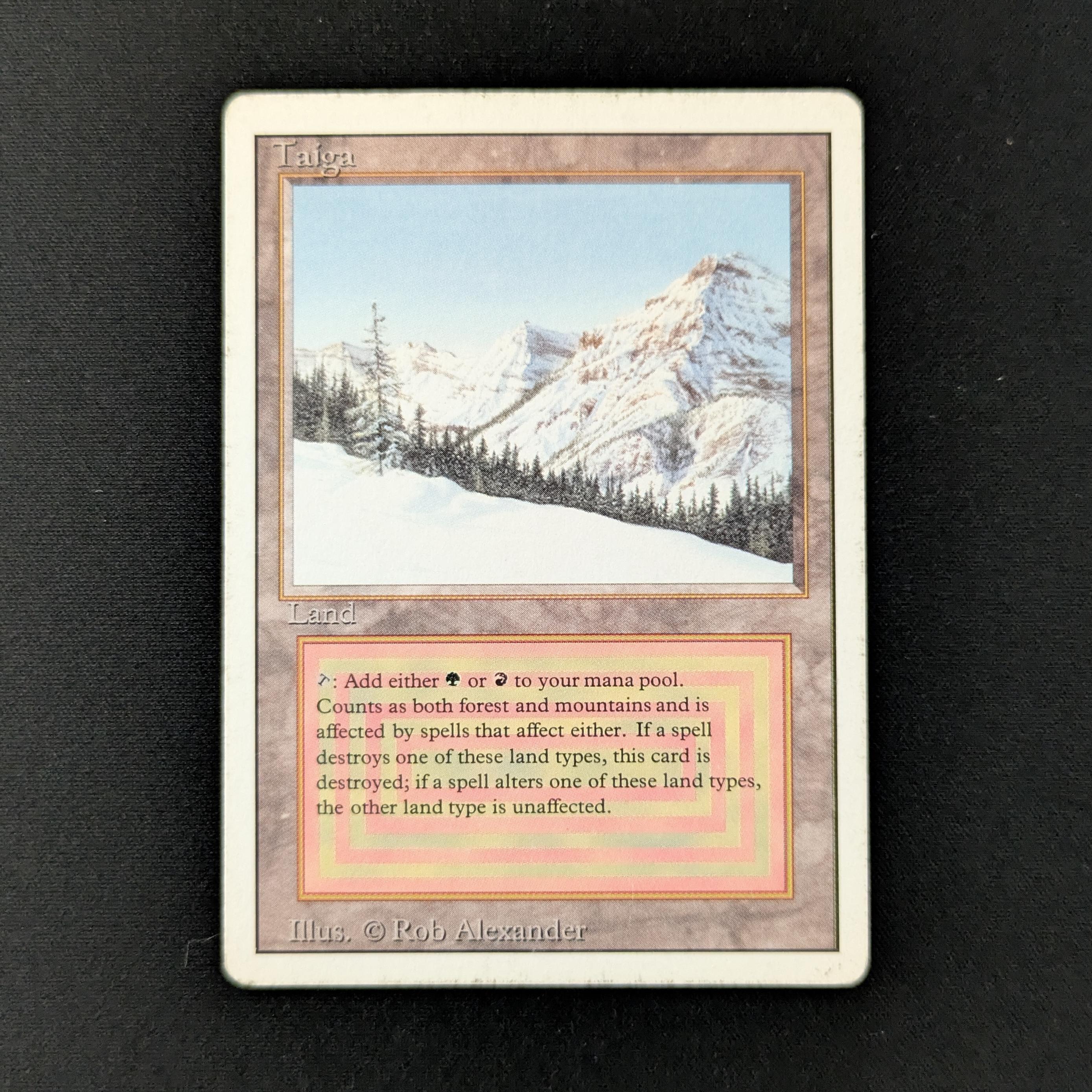 MTG Singles - Taiga - Revised - PL - 28139