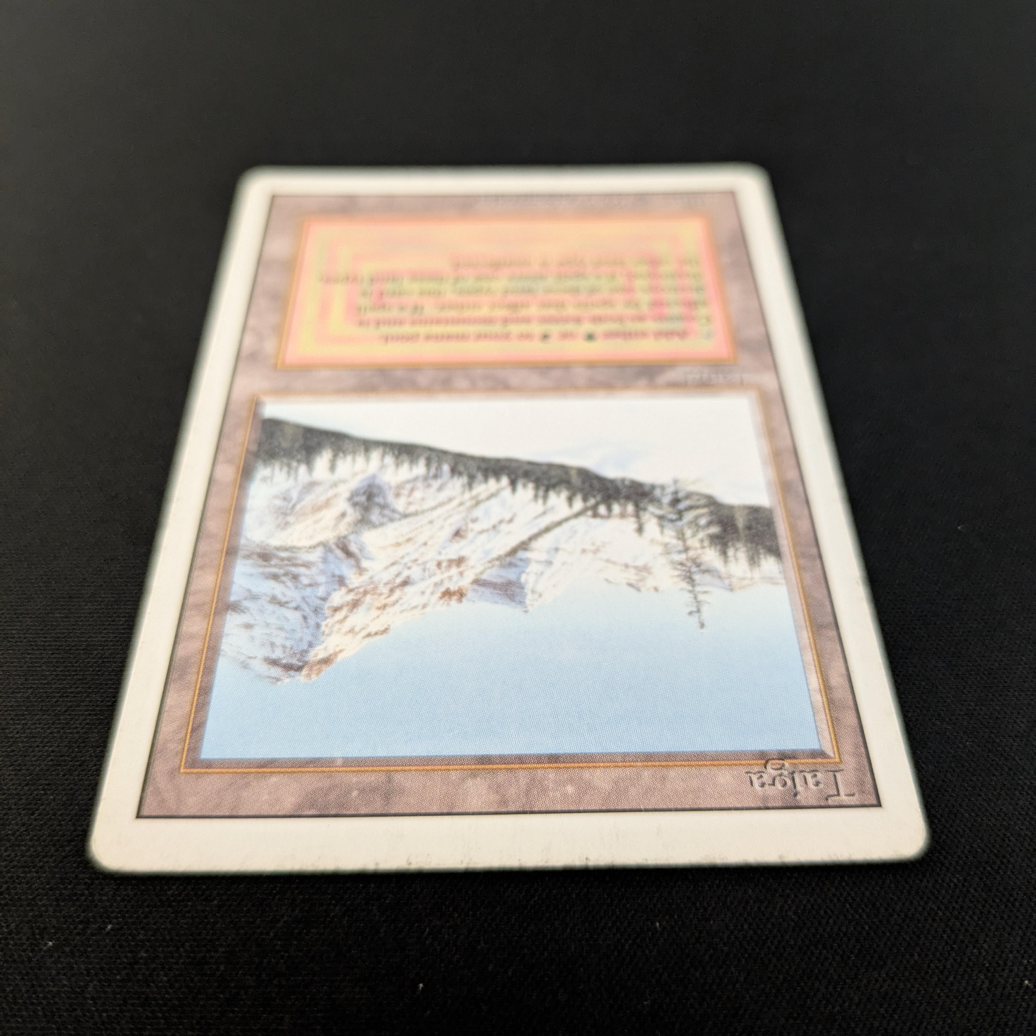 MTG Singles - Taiga - Revised - 