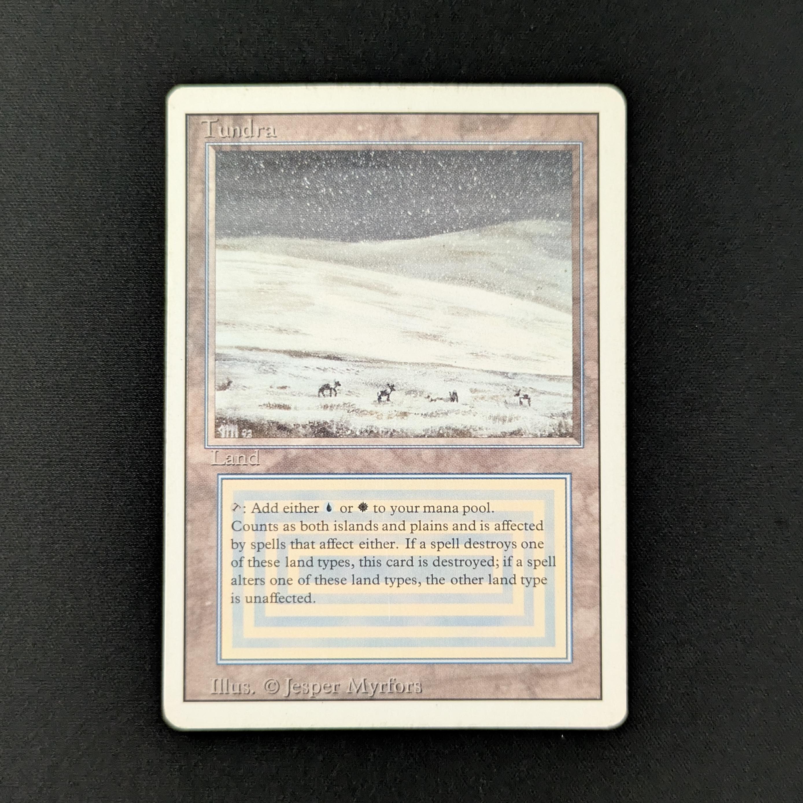 MTG Tundra① Tundra Wolves | 10th Edition | Star City Games