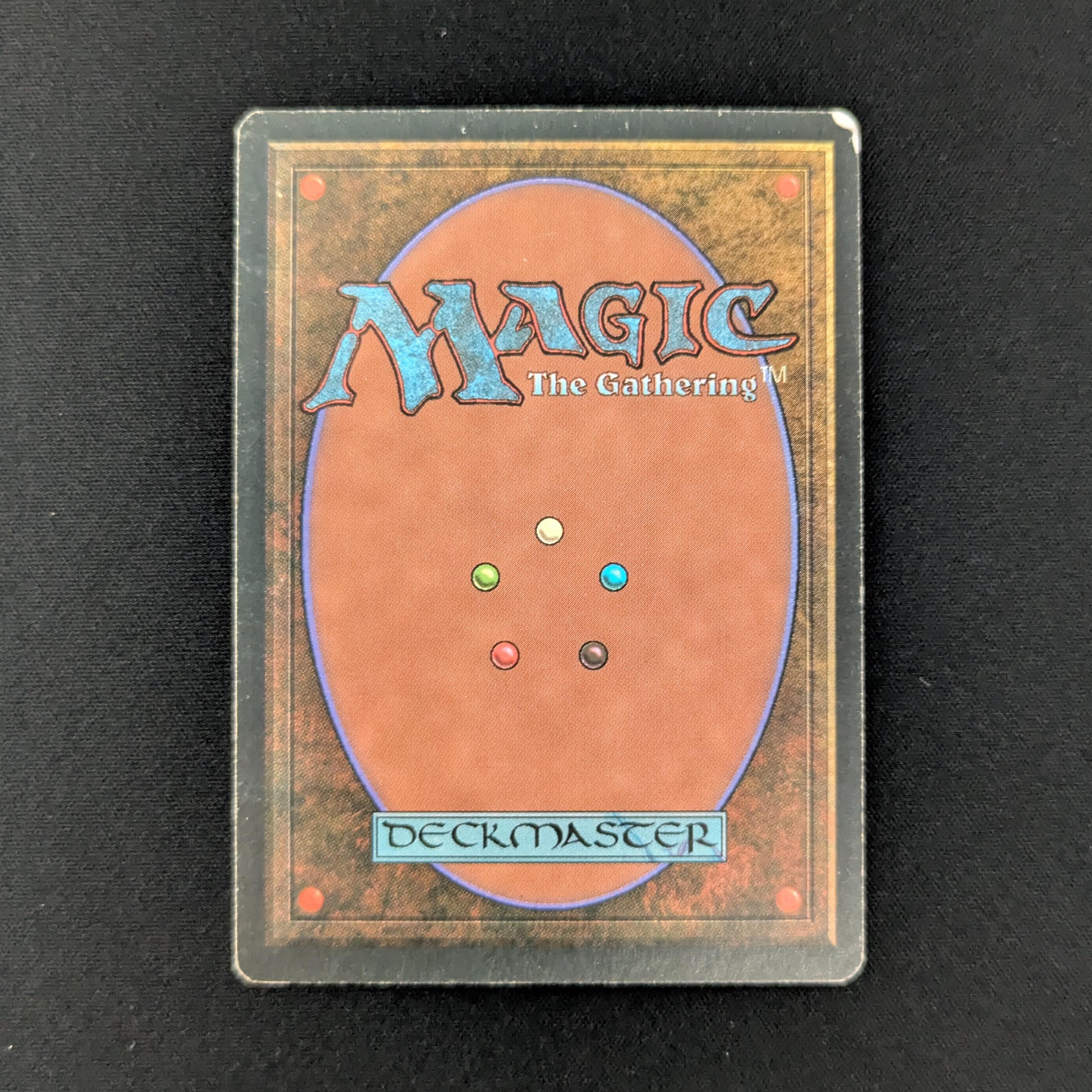 MTG Singles - Taiga - Foreign White Bordered - 